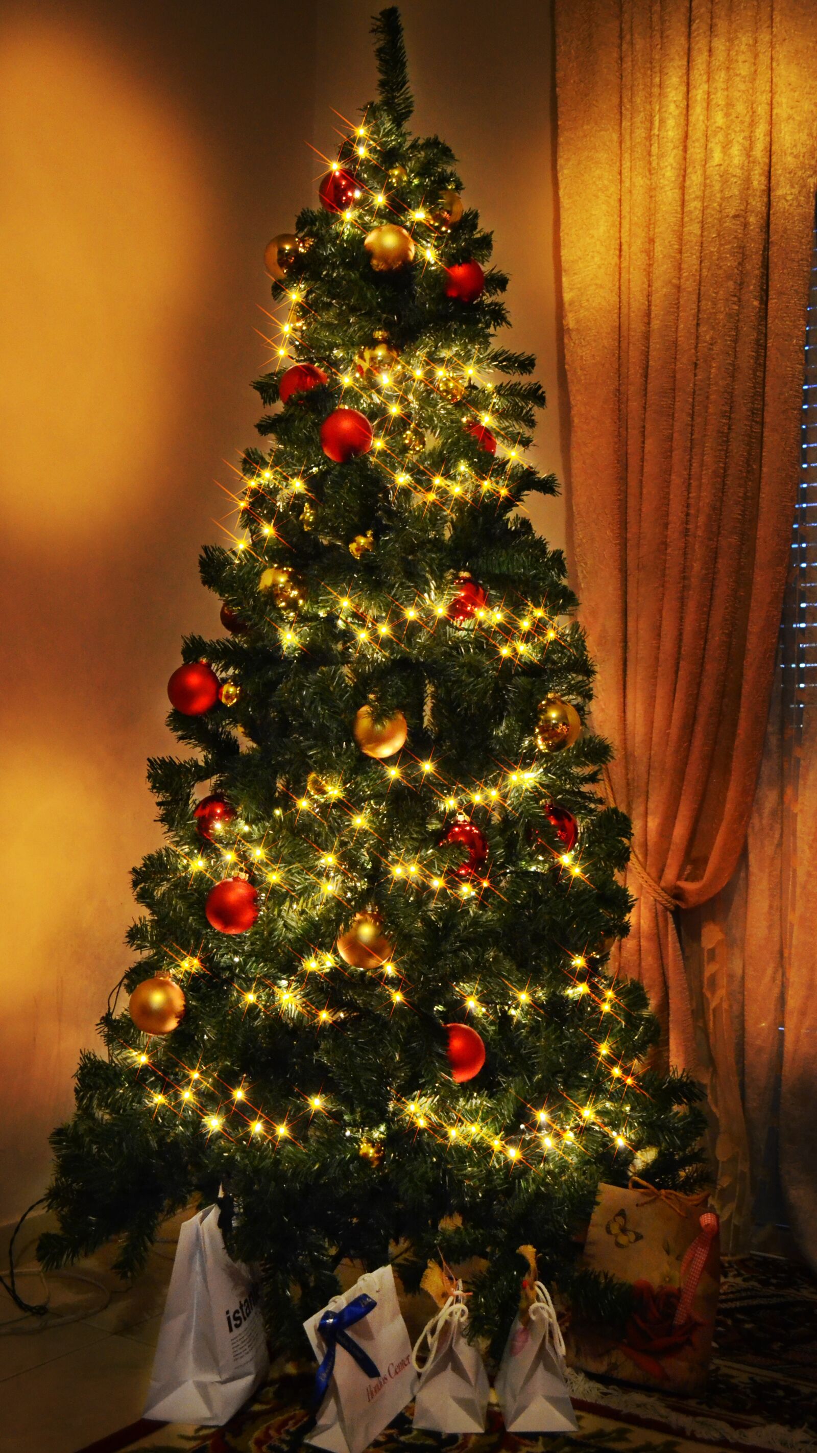 Nikon D3100 sample photo. Christmas, christmas tree, lights photography