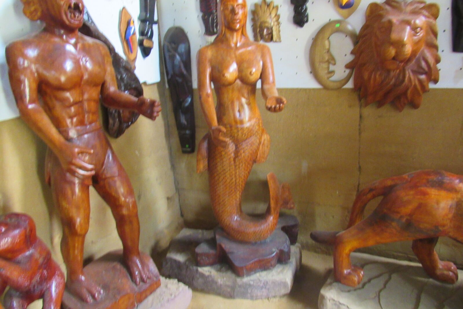 Canon PowerShot SX530 HS sample photo. Lamas, san mart n photography