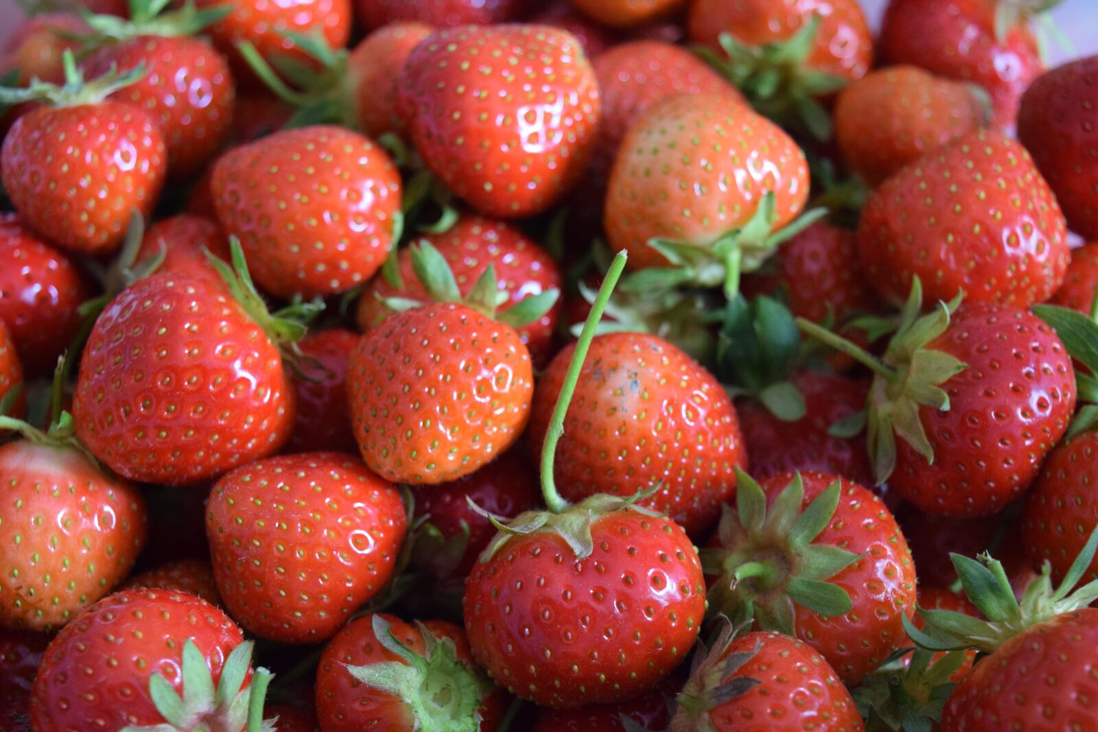 Nikon D3300 sample photo. Strawberries, red, delicious photography