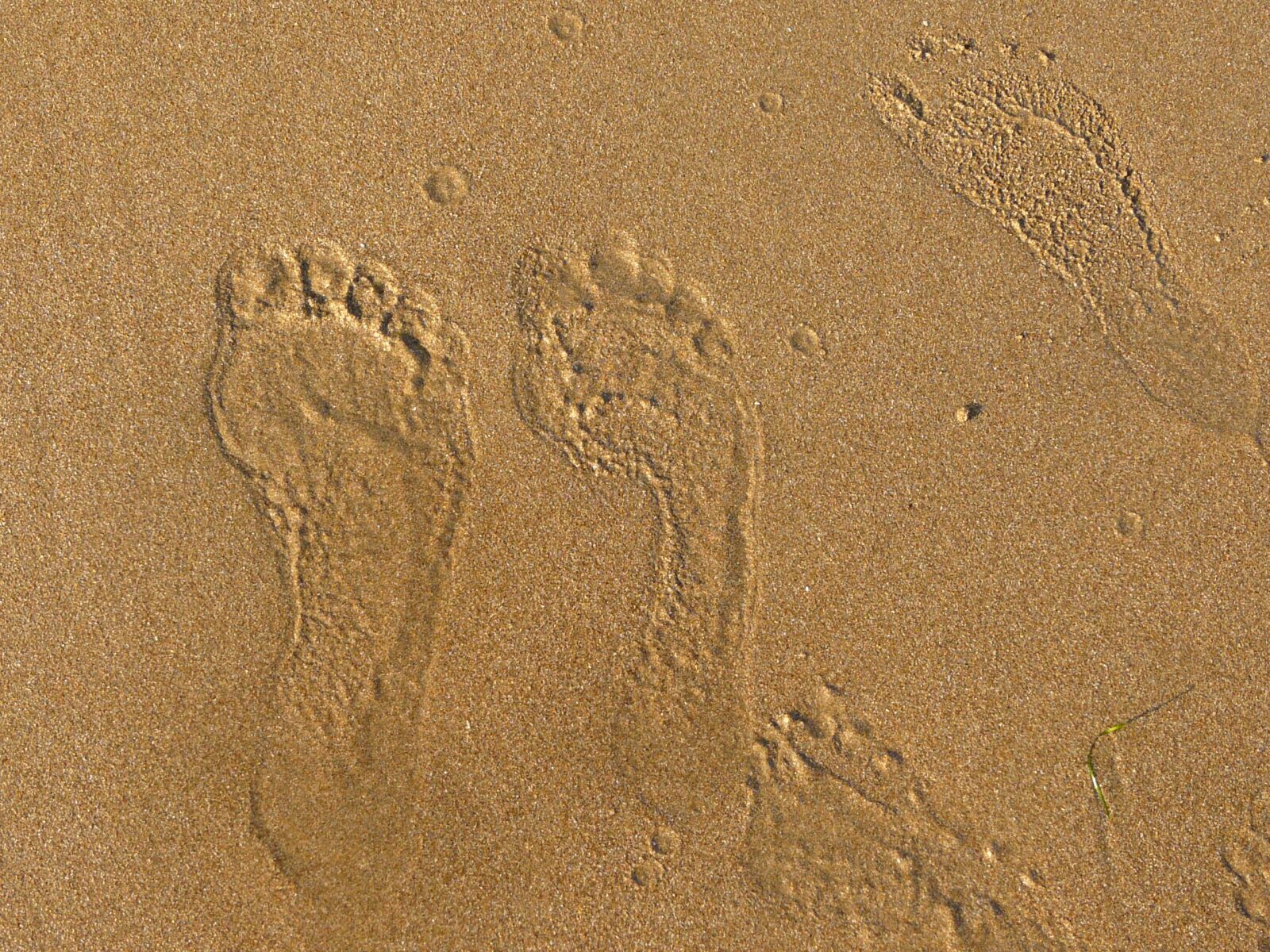 Panasonic DMC-FZ18 sample photo. Sand, sea, footprint photography