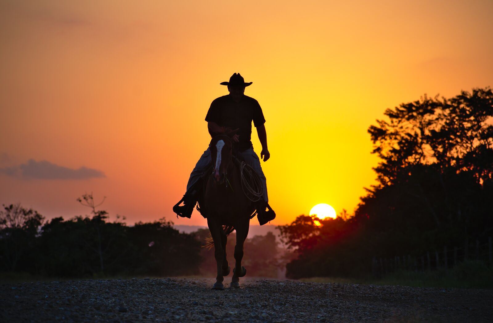 Nikon D7200 sample photo. Horse, cowboy, silhouette photography