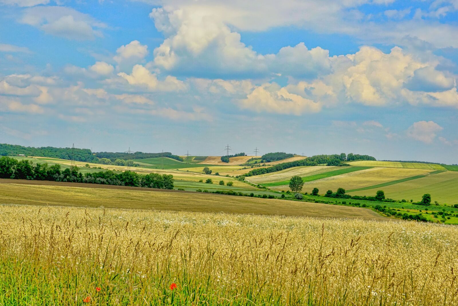 Sony E 18-135mm F3.5-5.6 OSS sample photo. Nature, landscape, panorama photography