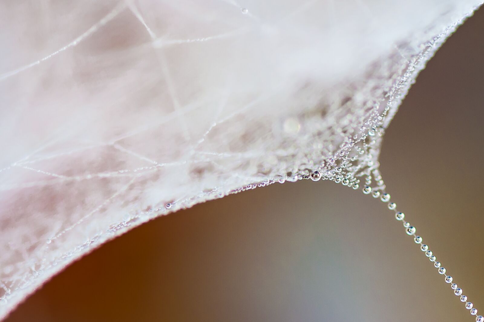 Nikon D5000 sample photo. Water, drip, cold photography