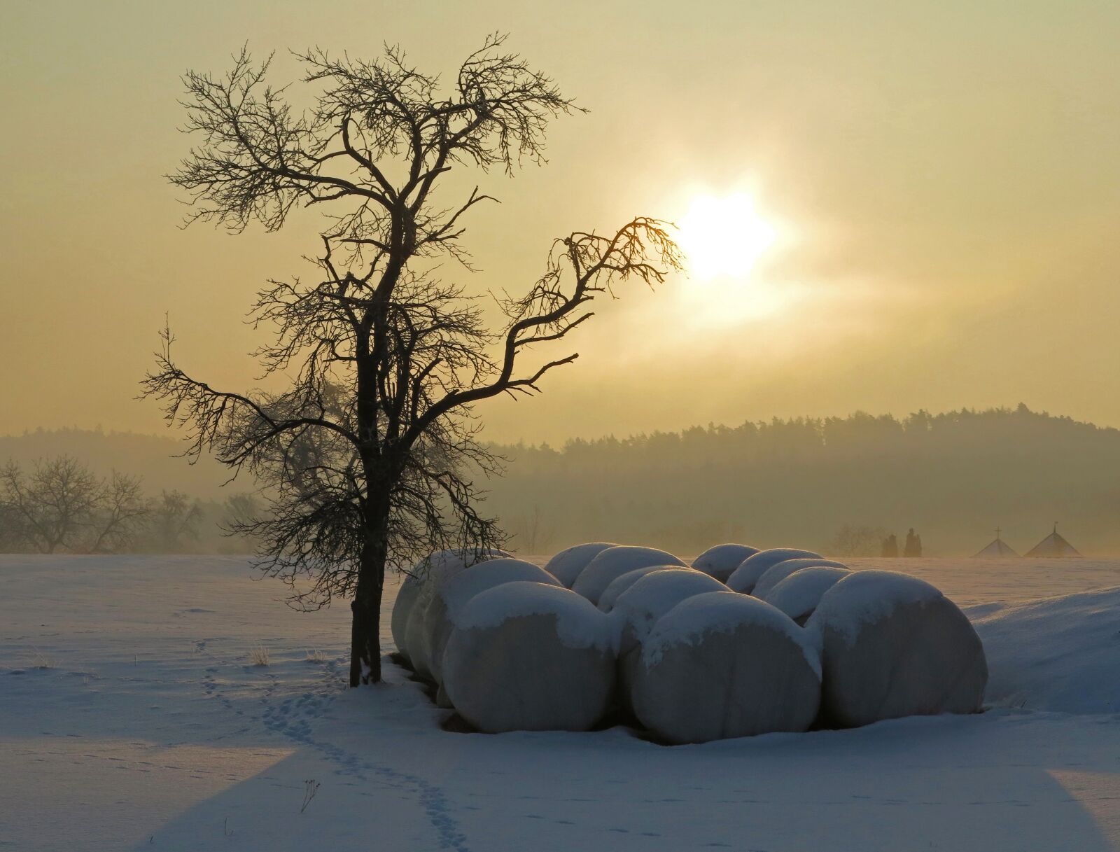 Canon PowerShot G1 X sample photo. Winter, landscape, tree photography