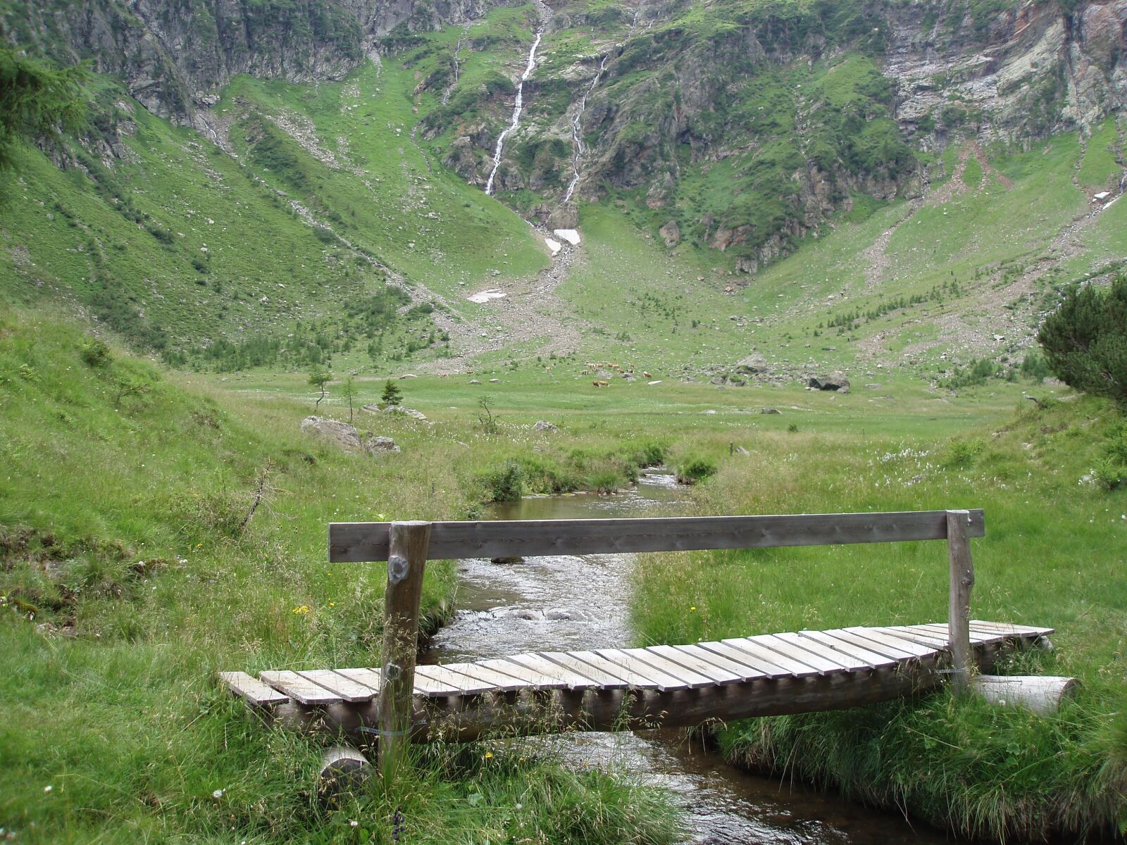 Olympus uD800,S800 sample photo. Bridge, hiking, mountain stream photography
