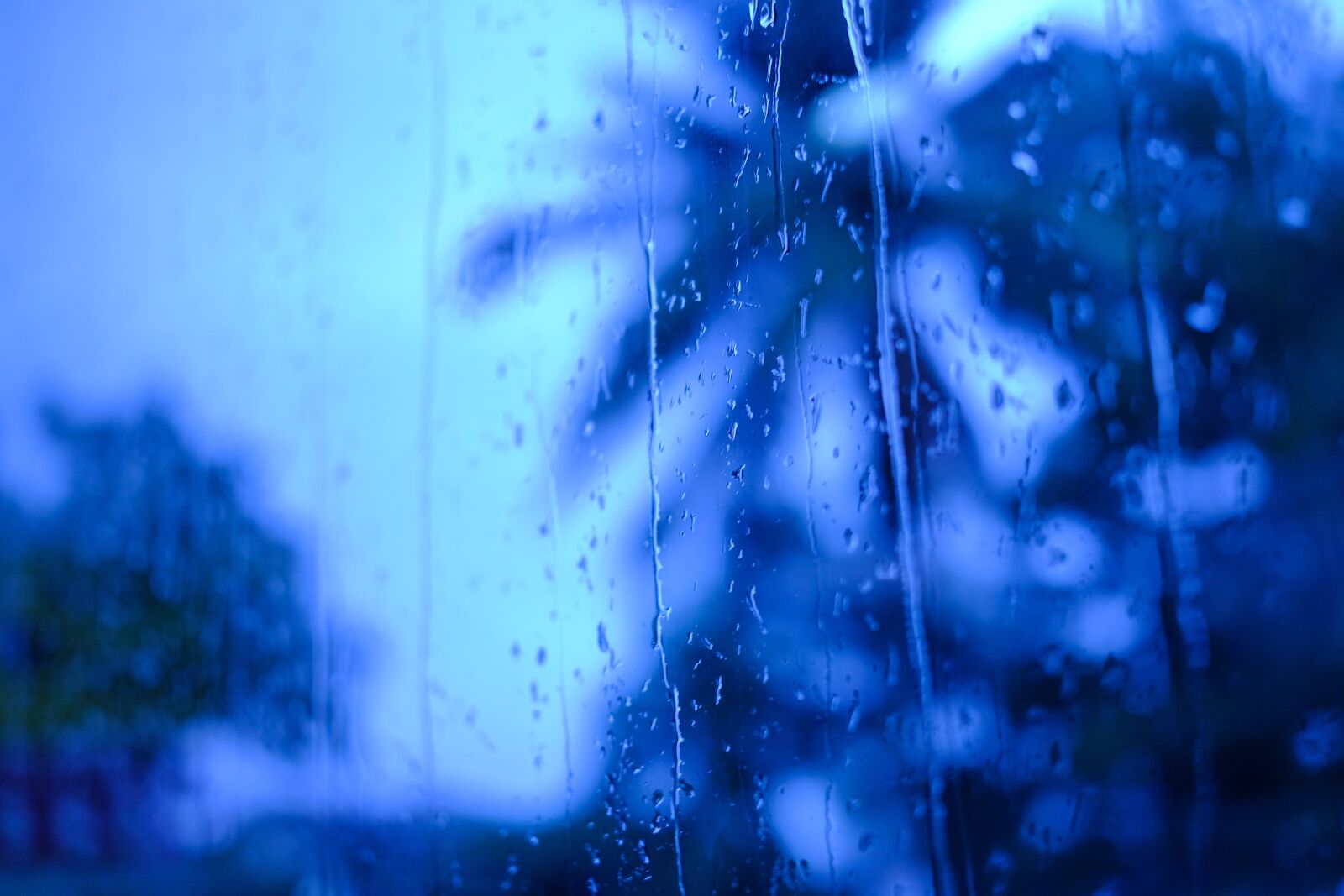 Fujifilm X-T20 + Fujifilm XF 27mm F2.8 sample photo. Background, rain, blue photography