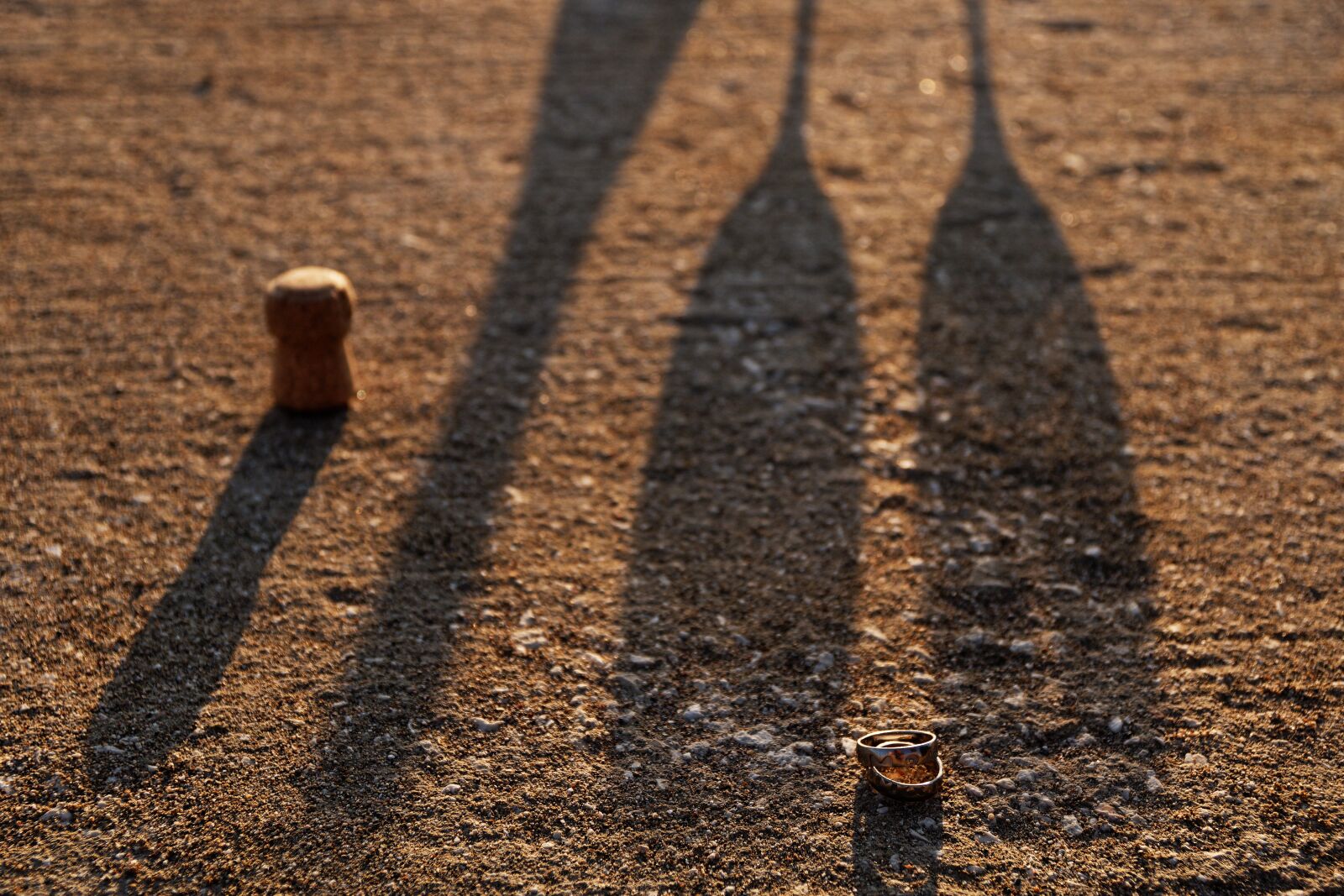Canon EOS 750D (EOS Rebel T6i / EOS Kiss X8i) sample photo. Champagne, rings, shadow photography