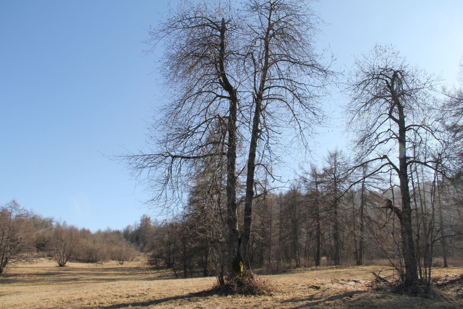 Canon EOS 60D sample photo. Montefosca, above faedis, fvg photography