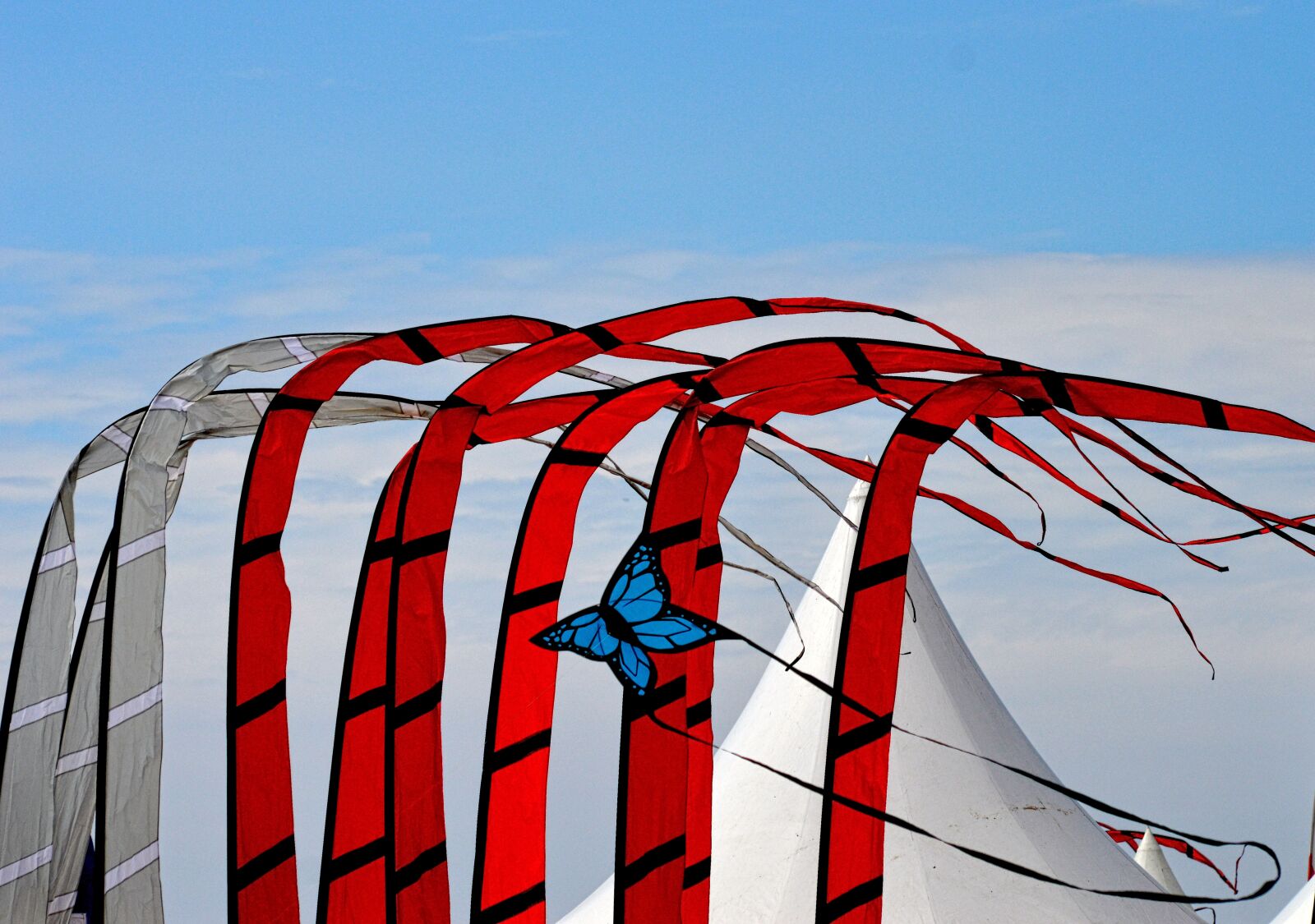 Nikon D3200 sample photo. Kite, wind, air photography