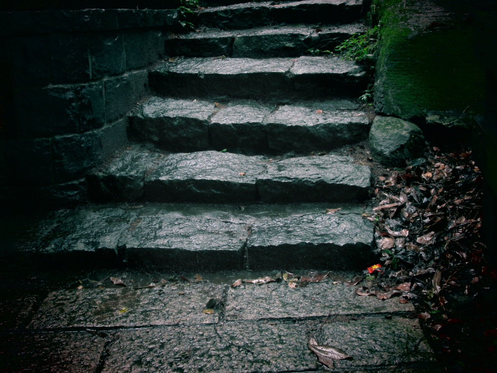 Canon POWERSHOT A2600 sample photo. Leaves, rocks, stairs, stones photography