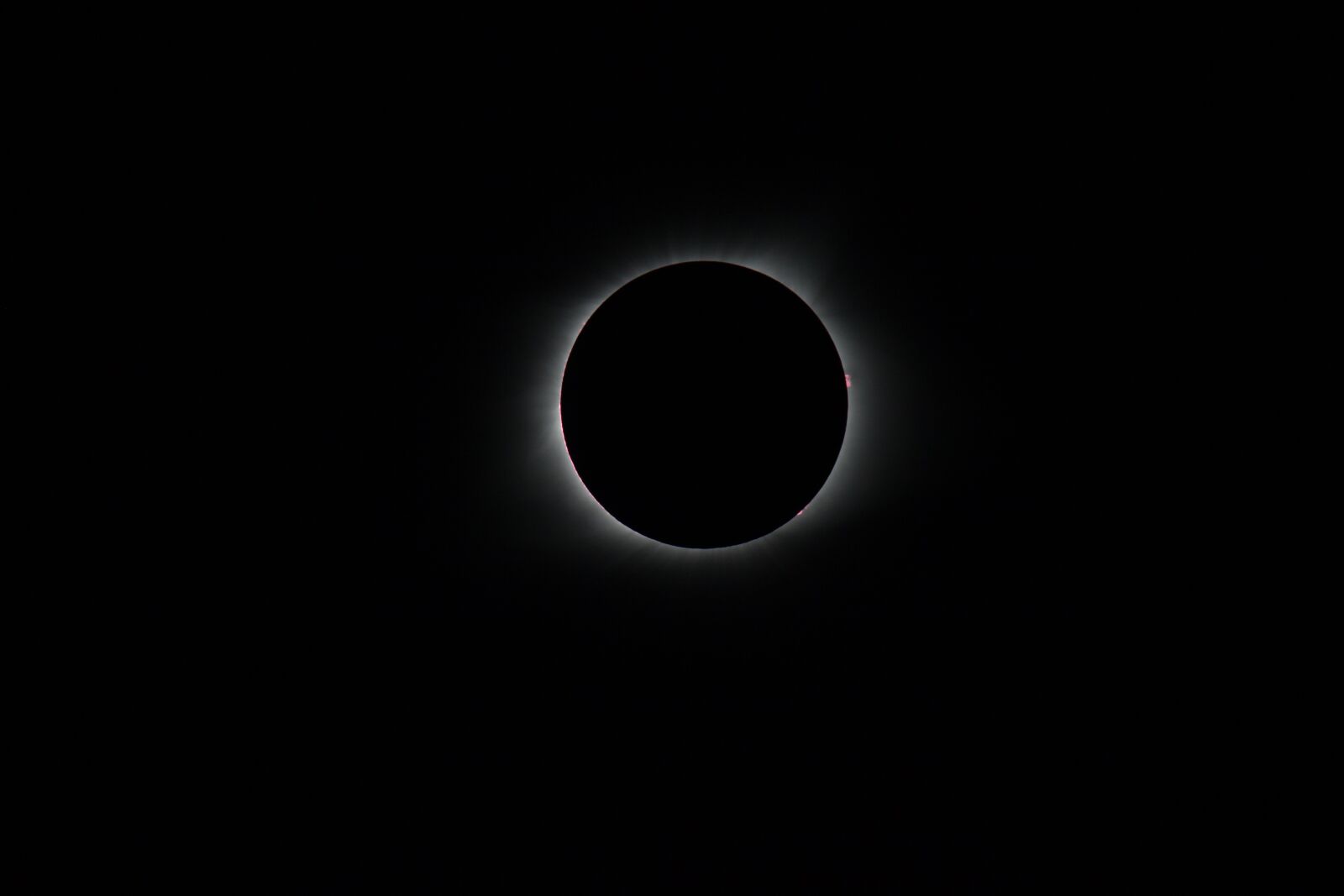 Canon EOS 5D Mark II sample photo. Solar eclipse, corona, usa photography