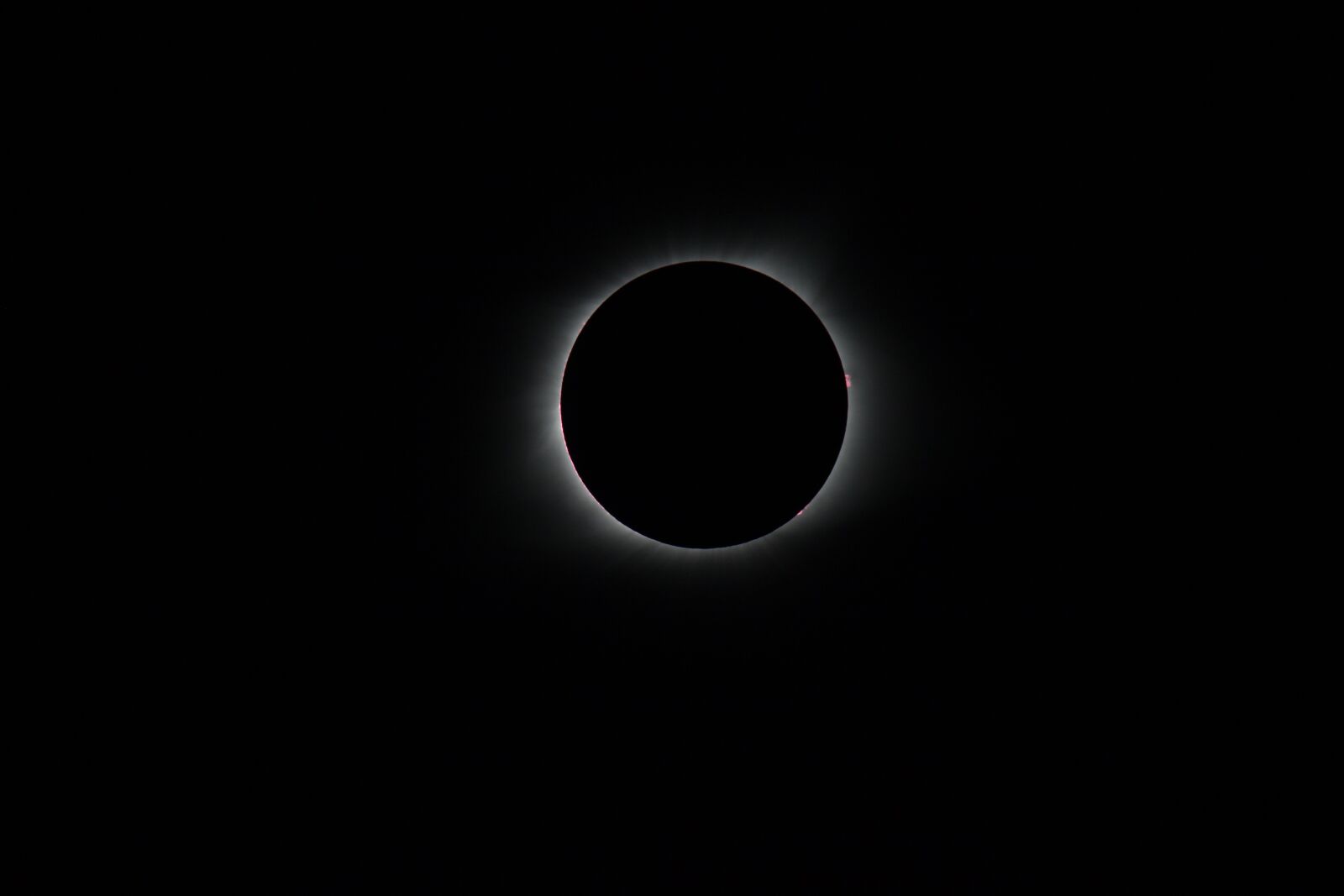 Canon EOS 5D Mark II + Tamron SP 150-600mm F5-6.3 Di VC USD sample photo. Solar eclipse, corona, usa photography