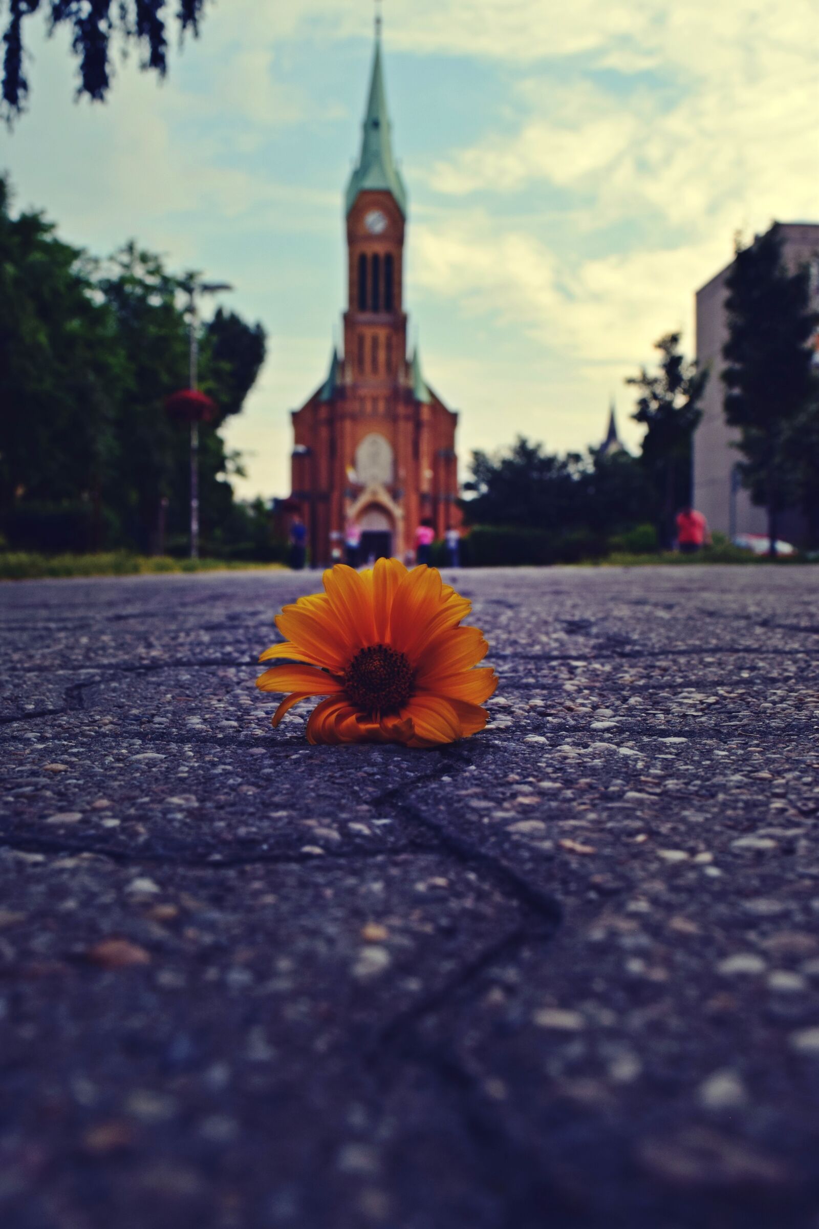 Nikon D3300 sample photo. Church, flower, square photography