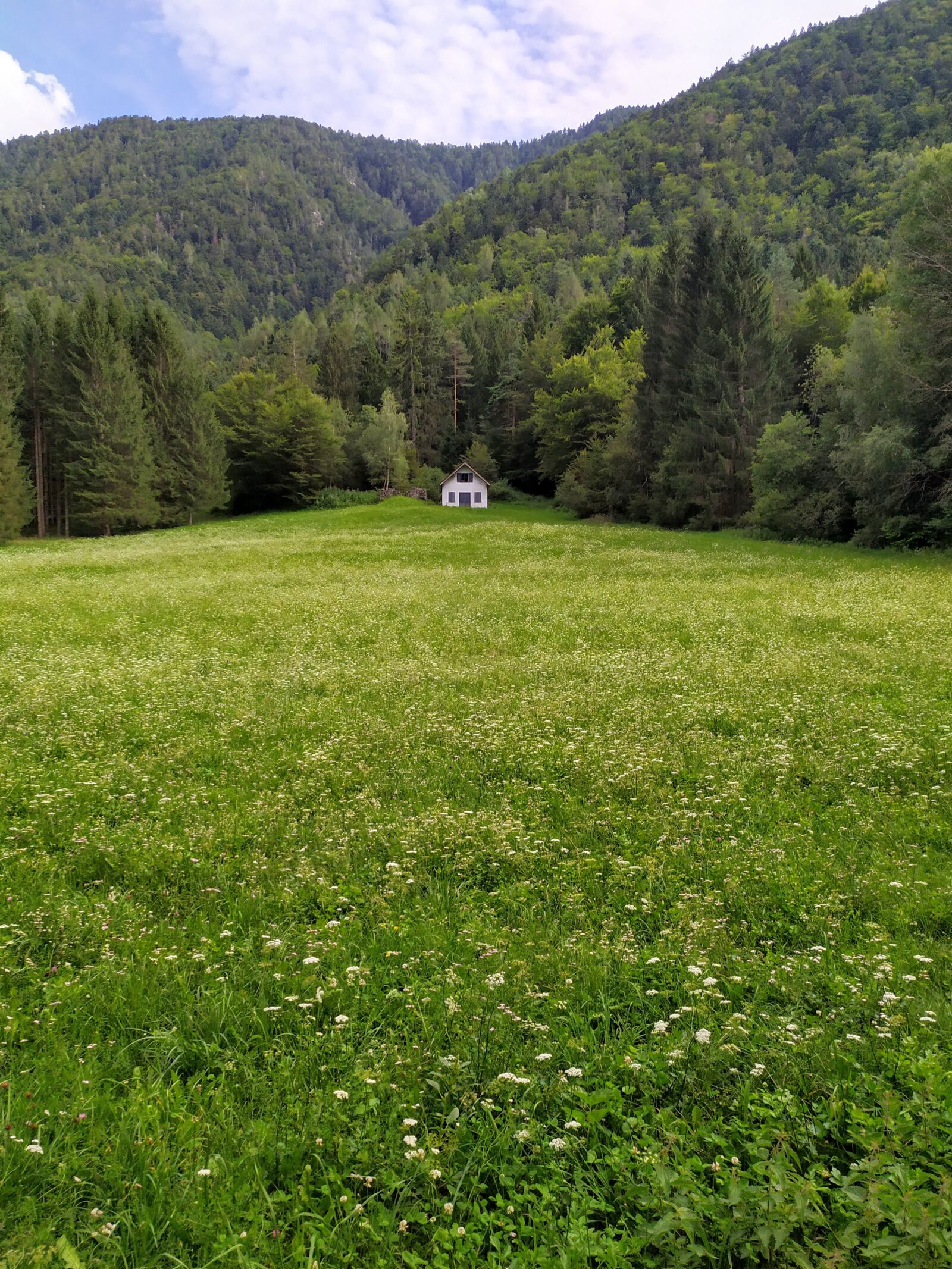 Xiaomi Redmi Note 7 sample photo. Prato, flowers, house photography