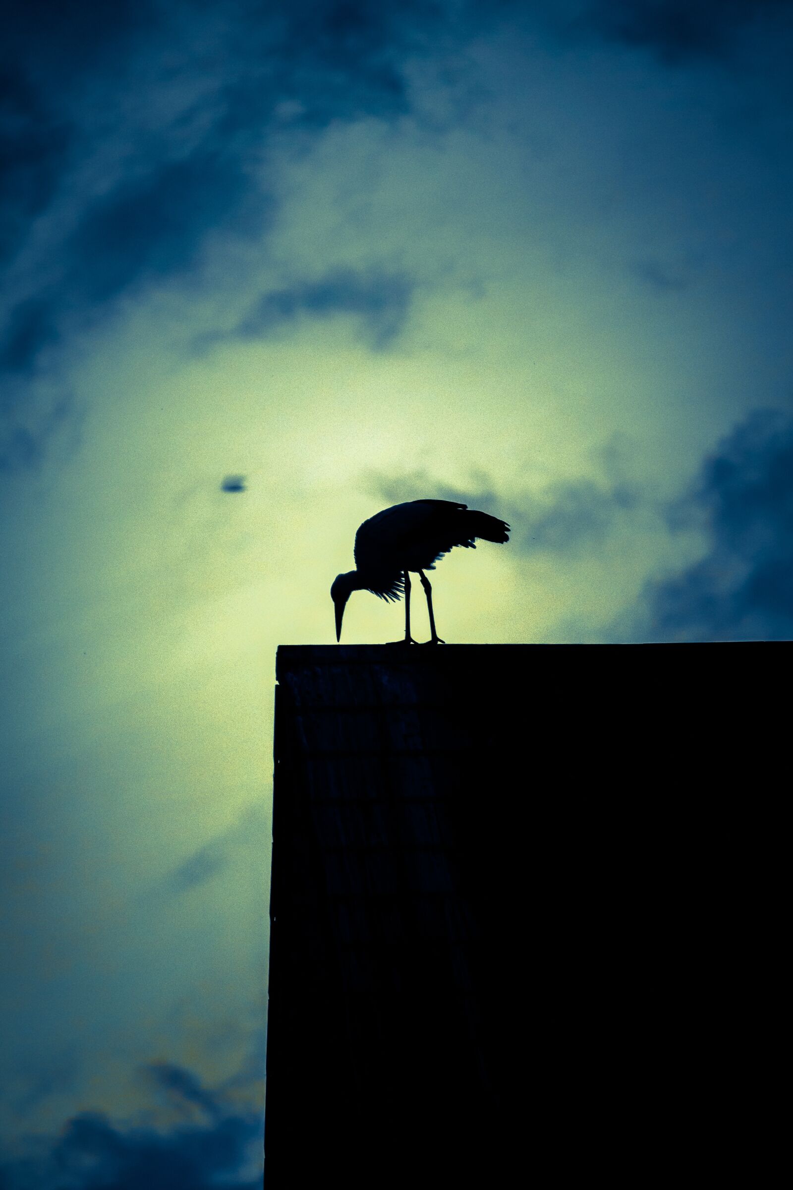 Canon EOS 650D (EOS Rebel T4i / EOS Kiss X6i) sample photo. Stork, twilight, romantic photography