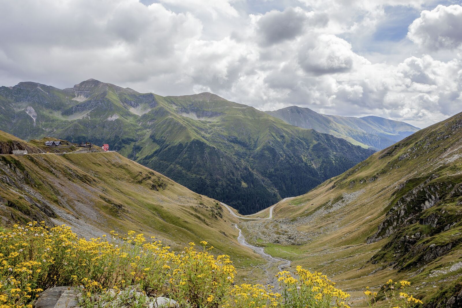 Canon EOS 5D Mark II sample photo. Romania, flowers, landscape photography