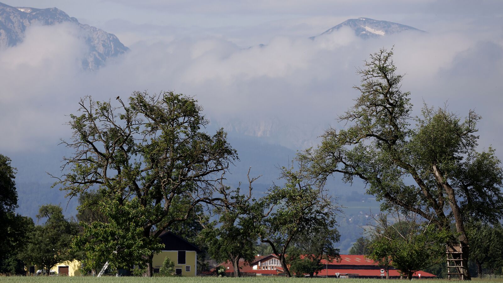 150-600mm F5-6.3 DG OS HSM | Contemporary 015 sample photo. Landscape, alpine, trees photography