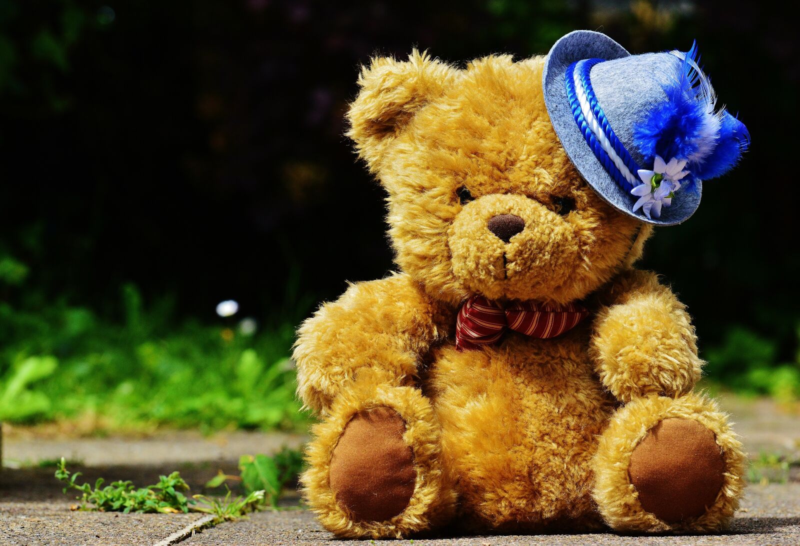 Nikon D3200 sample photo. Oktoberfest, teddy, hat photography