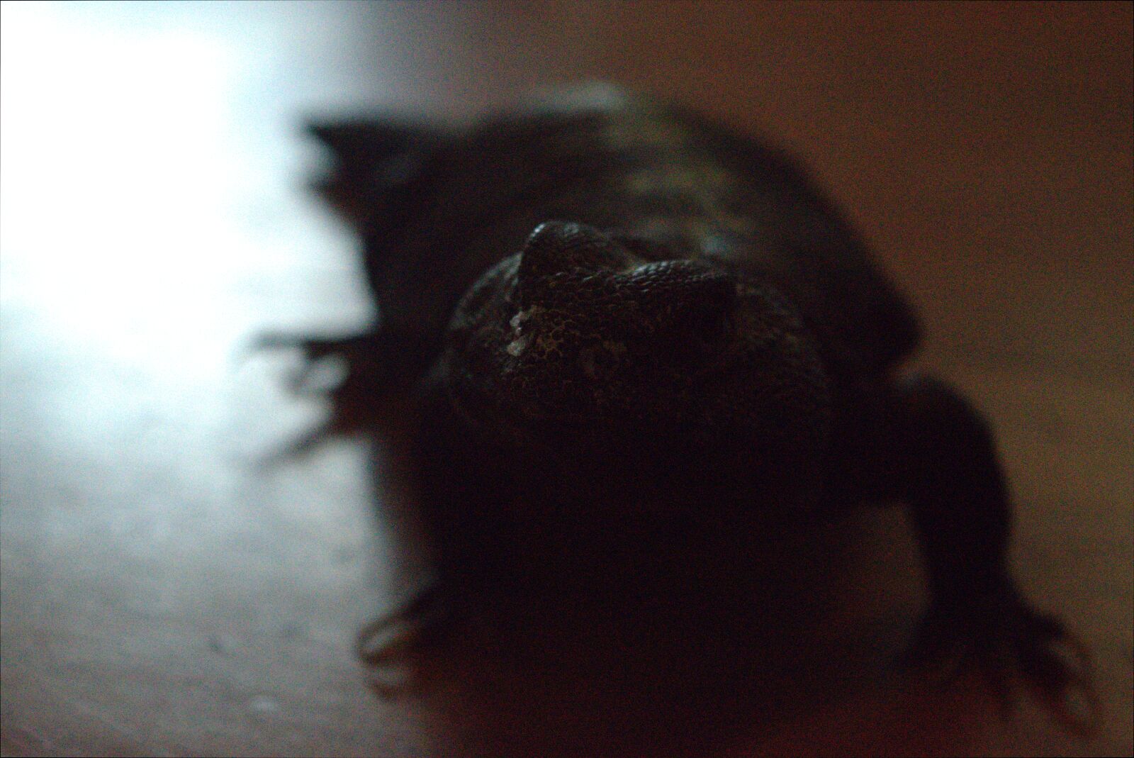 Nikon D3300 sample photo