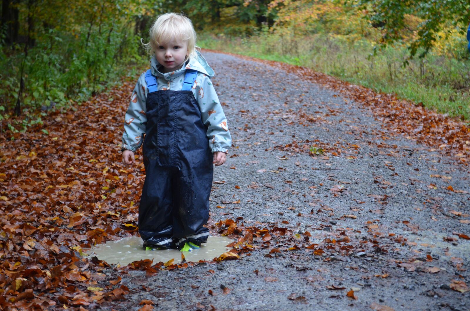 Nikon D5100 sample photo. Autumn, walk, child photography