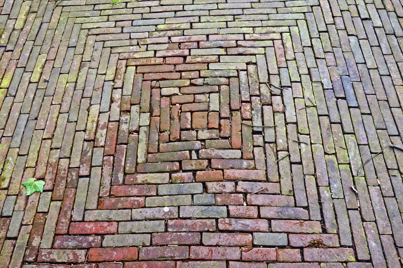 Sony Cyber-shot DSC-RX100 sample photo. Brick, paving, paving bricks photography