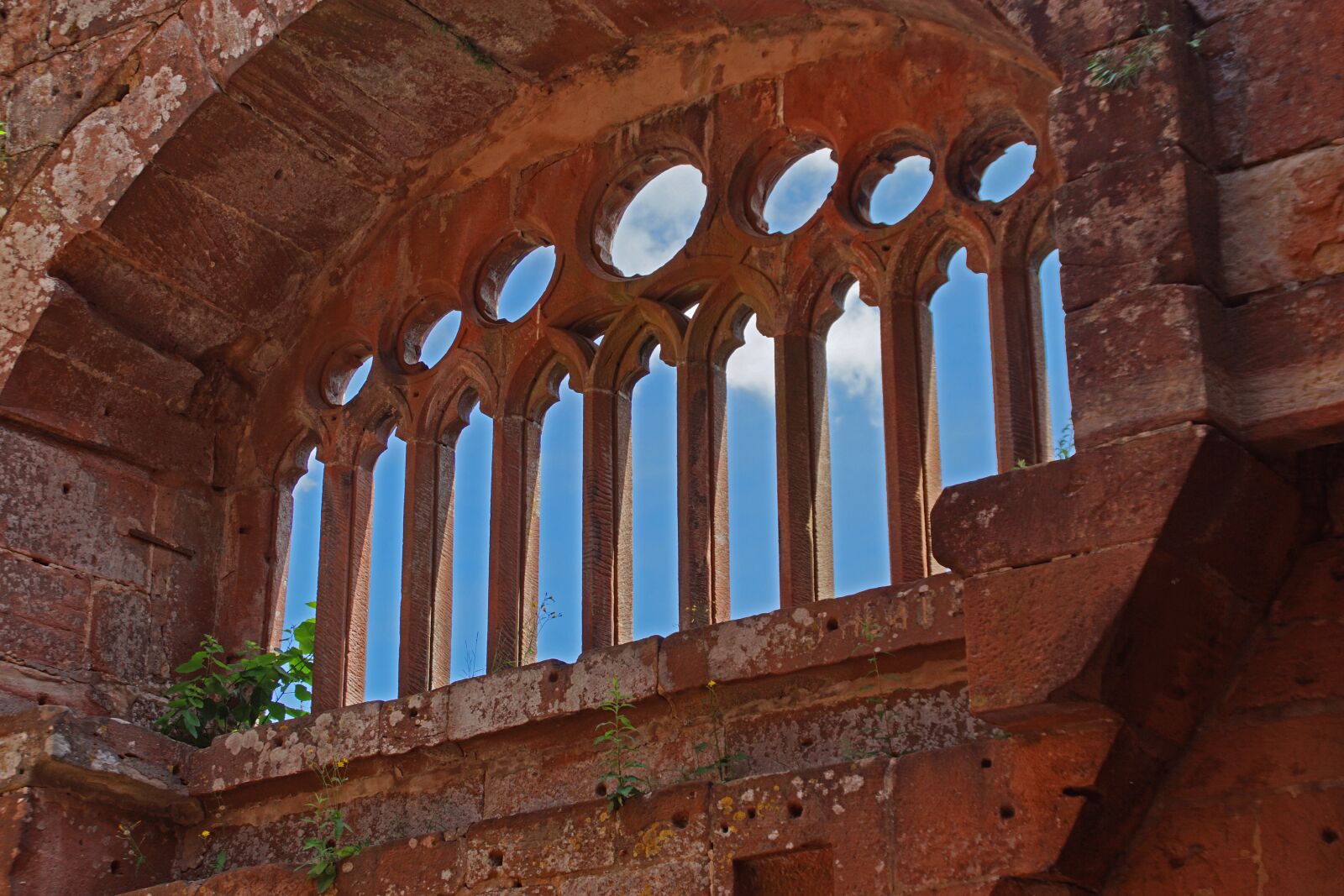 Sony DT 18-200mm F3.5-6.3 sample photo. Castle, ruin, window photography