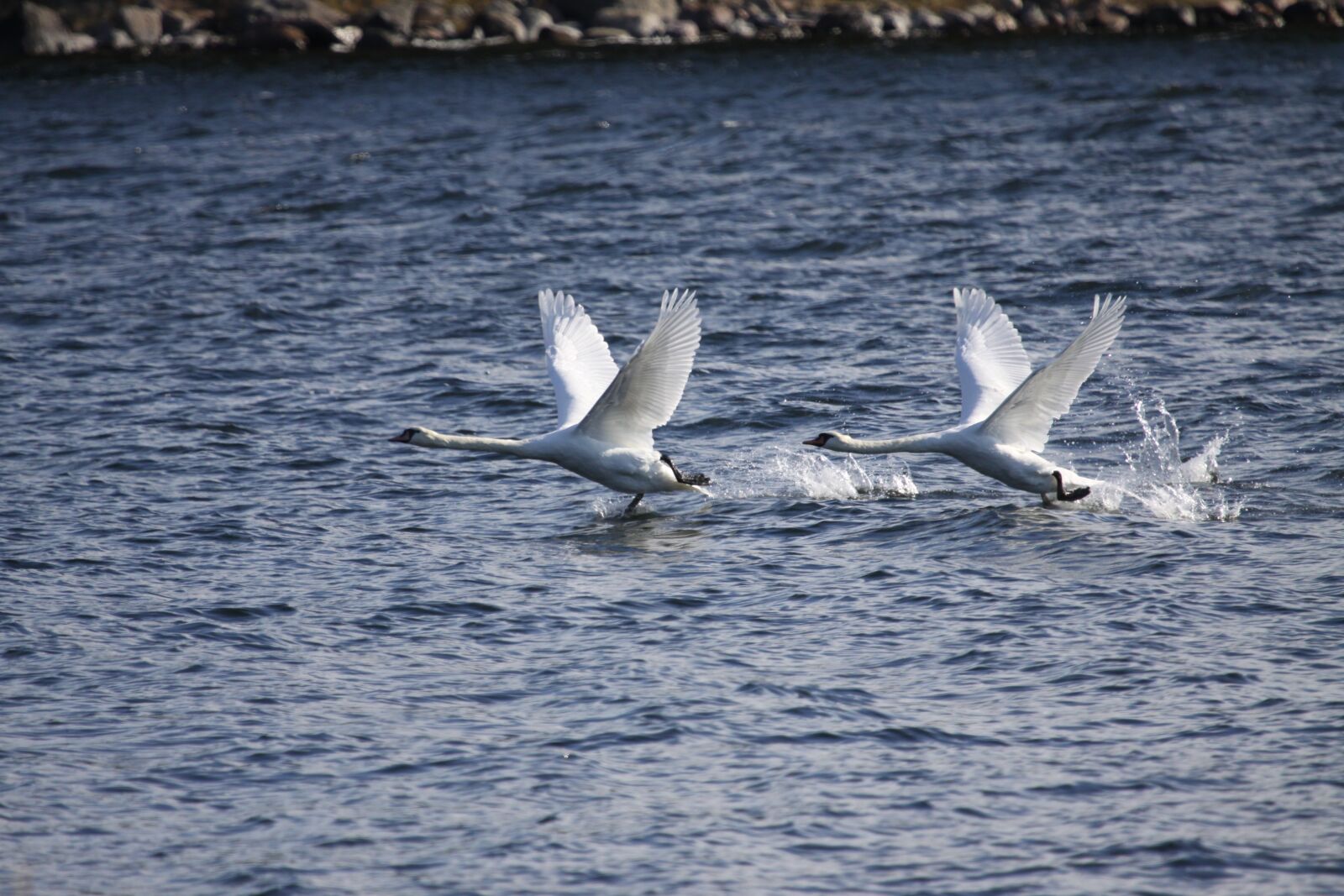 Canon EOS 50D sample photo. Water, nature, sea photography