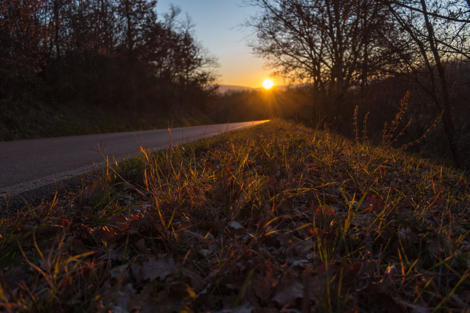 Nikon D5600 sample photo. Sunlight, sun, road photography