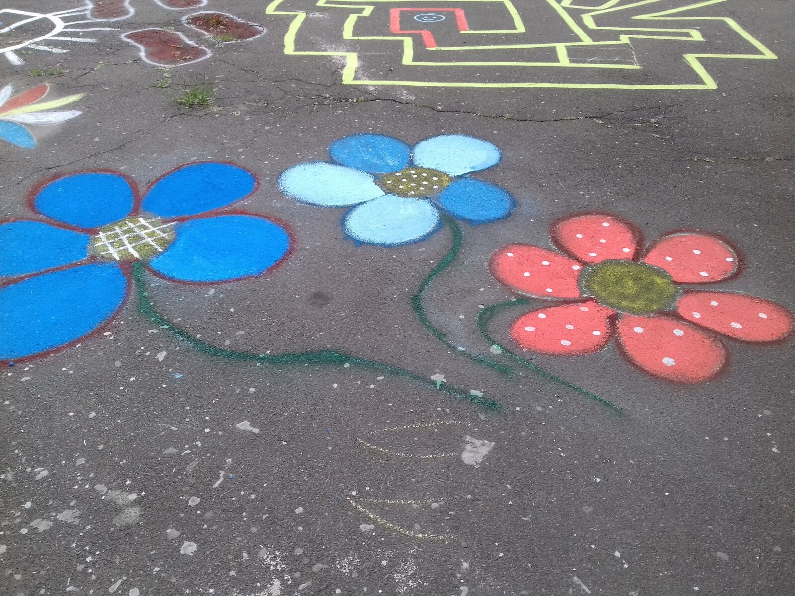 Samsung Galaxy J3 sample photo. Flowers on the pavement photography