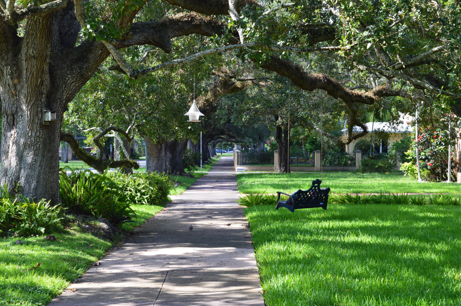 Nikon D3200 sample photo. Birds, coral, gables, grass photography