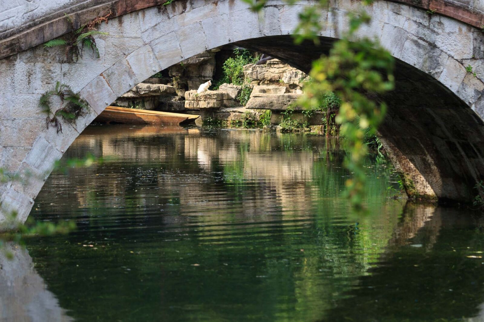 Canon EF-S 55-250mm F4-5.6 IS STM sample photo. Qiangling shan park, the photography