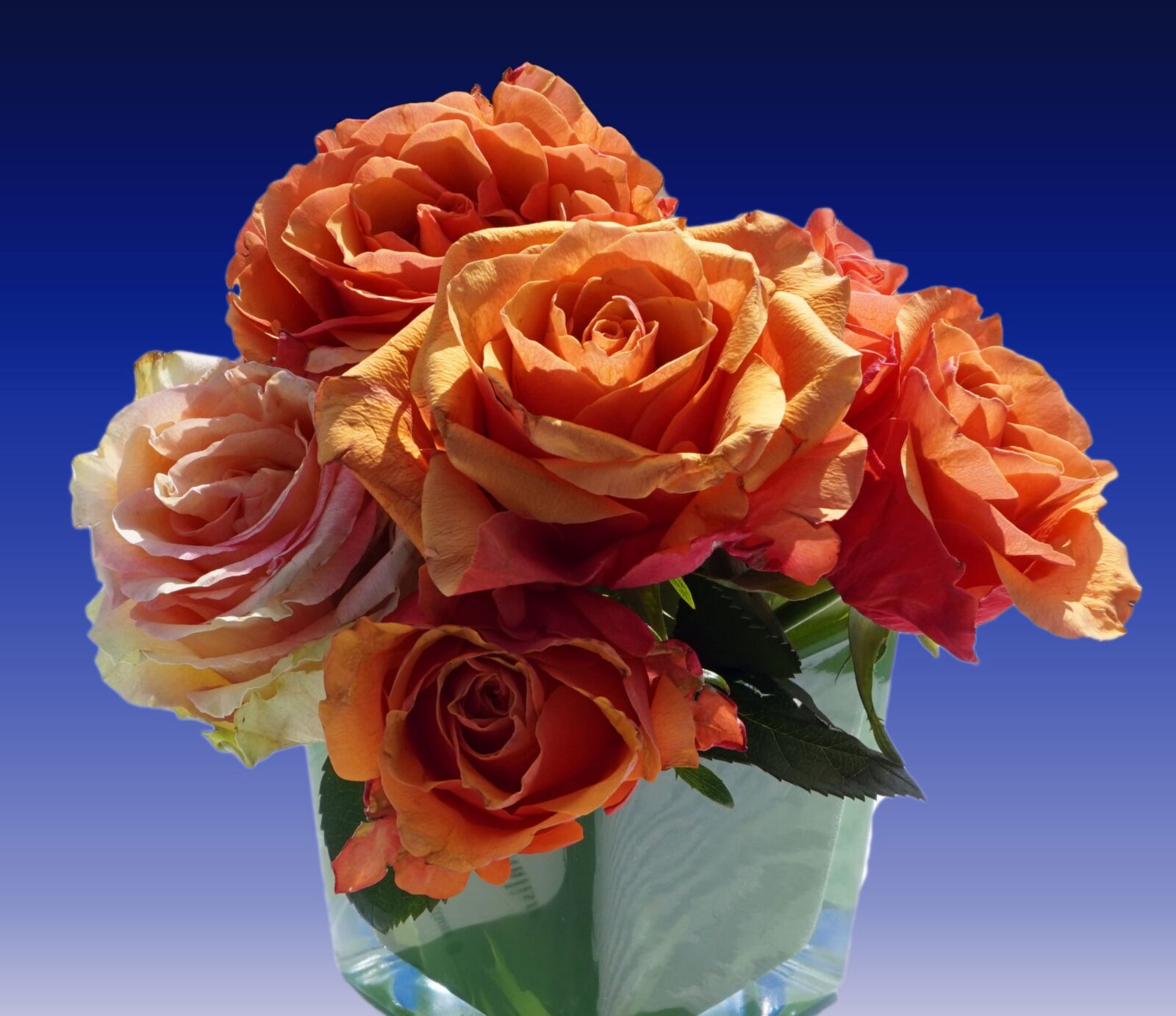 Sony Alpha a5000 (ILCE 5000) sample photo. Rose, love, bouquet photography