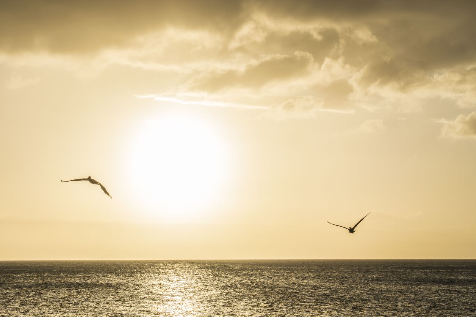 Nikon D3300 sample photo. Sunset, water, sky photography