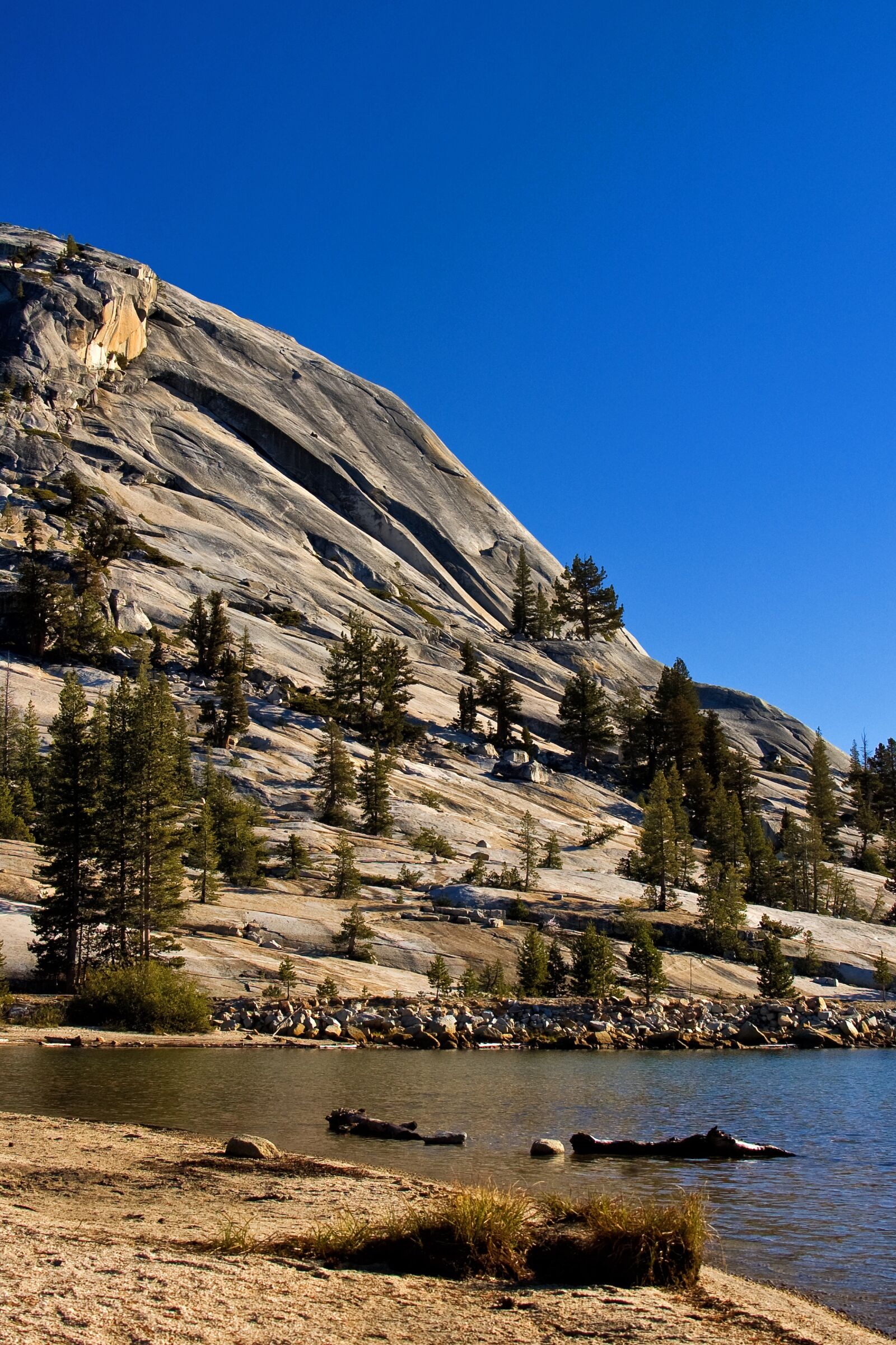 Nikon D50 sample photo. Yosemite, national park, california photography