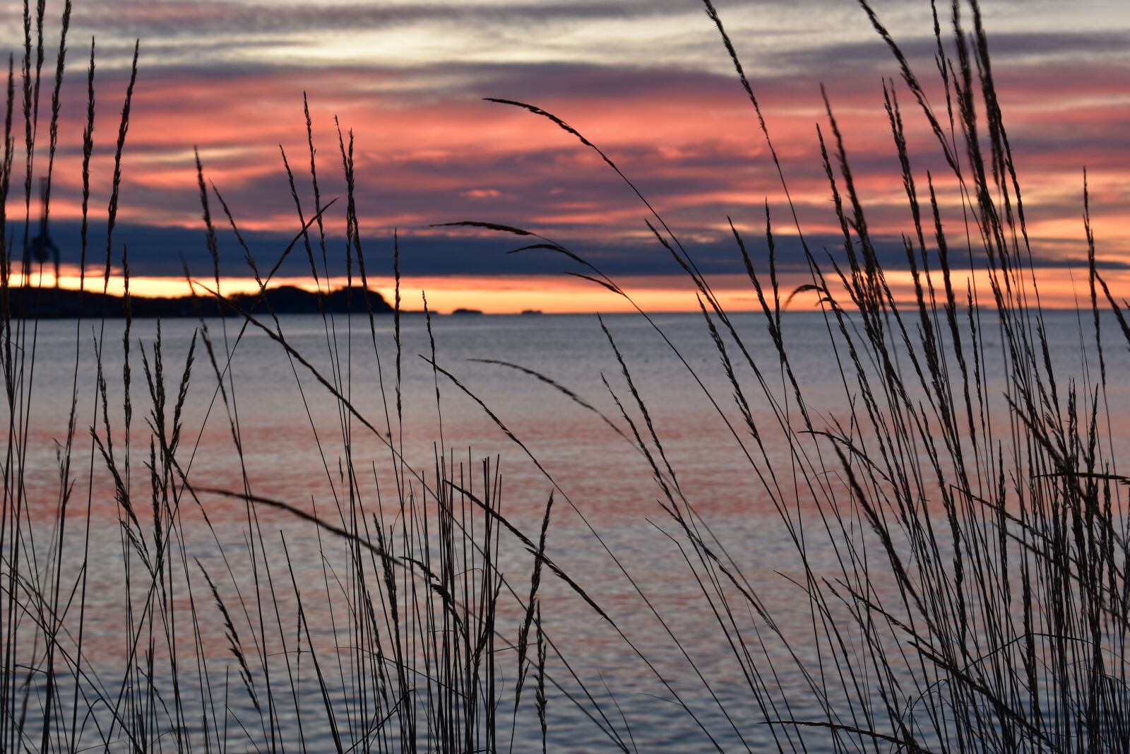 Nikon D3500 sample photo. Sea, nature, sky photography