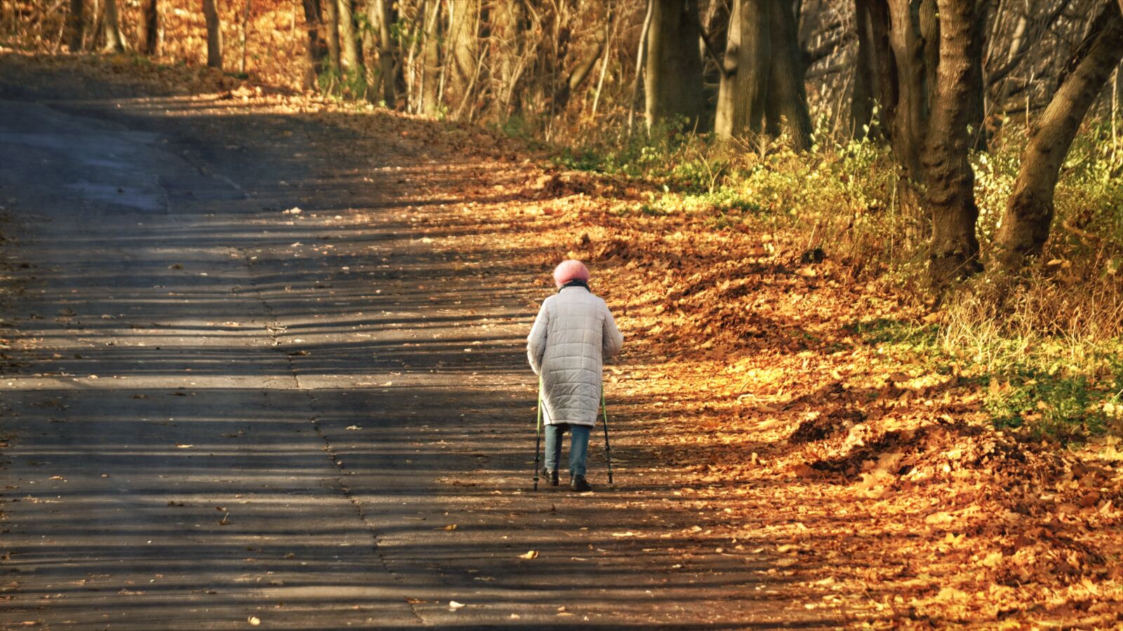 Nikon D3100 sample photo. Woman, person, old photography