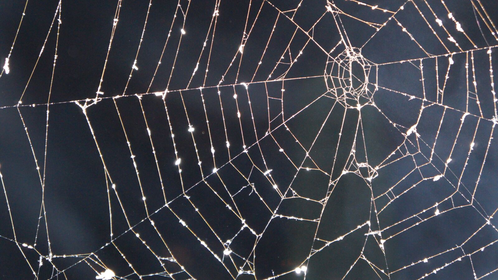 Sony Alpha a3000 sample photo. Cobweb, night, smoke photography