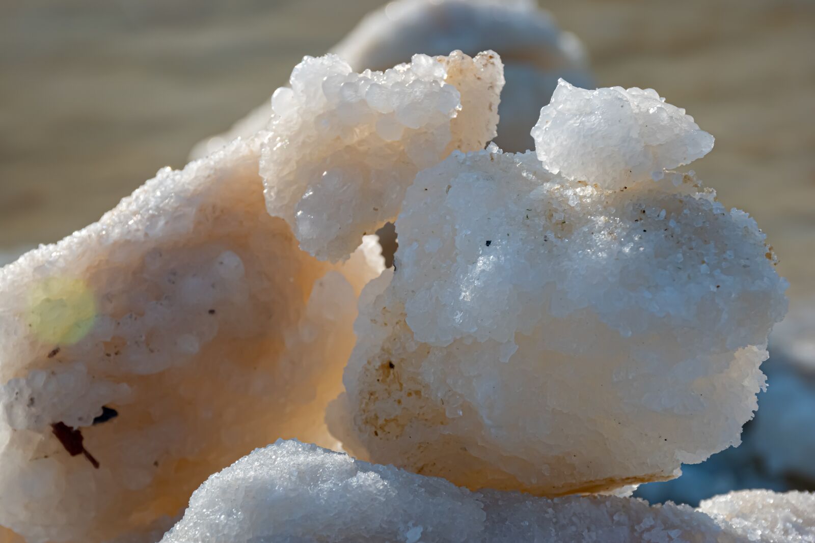 Nikon D5600 sample photo. Sea salt, earth, nature photography