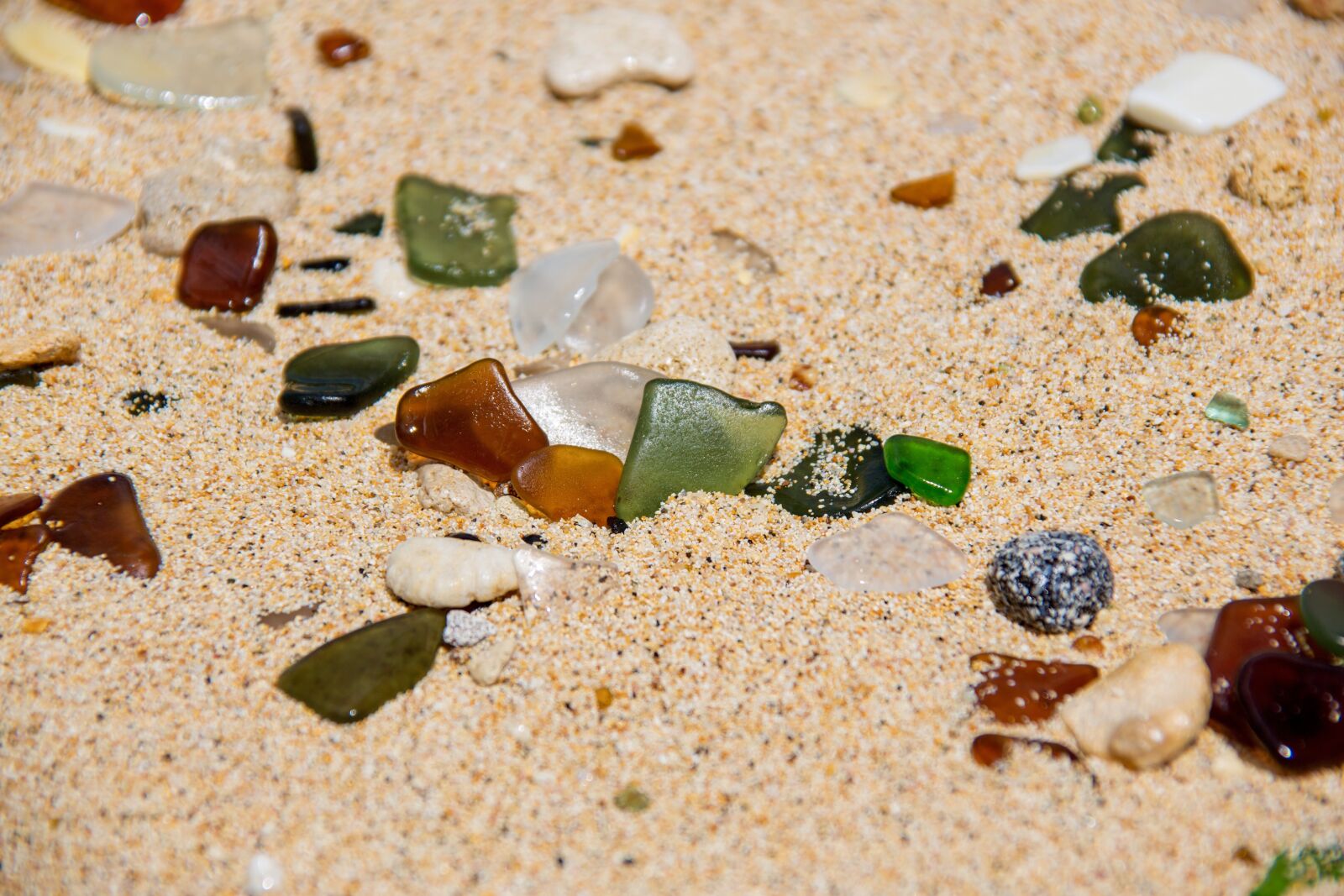 Canon EOS 5D Mark III sample photo. Beach, sand, glass photography