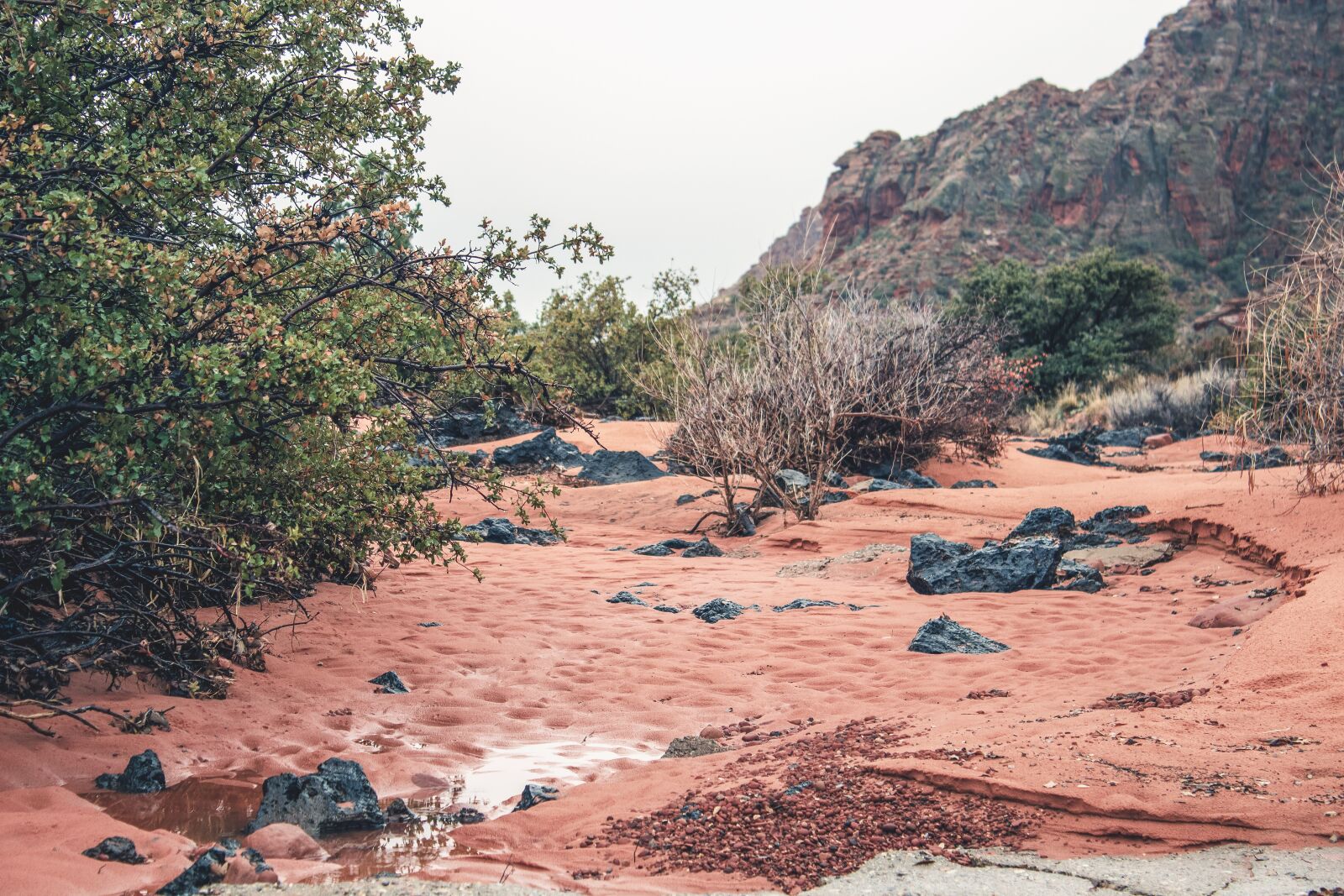 Canon EOS 600D (Rebel EOS T3i / EOS Kiss X5) sample photo. Utah, river, sand photography