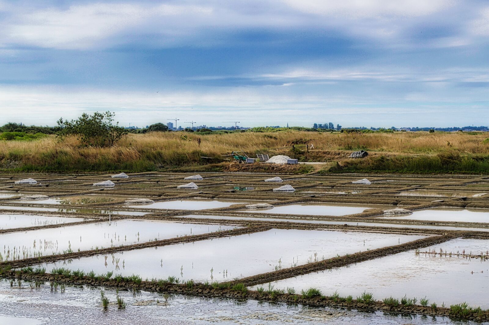 Nikon D3200 sample photo. Salt marshes, gu rande photography