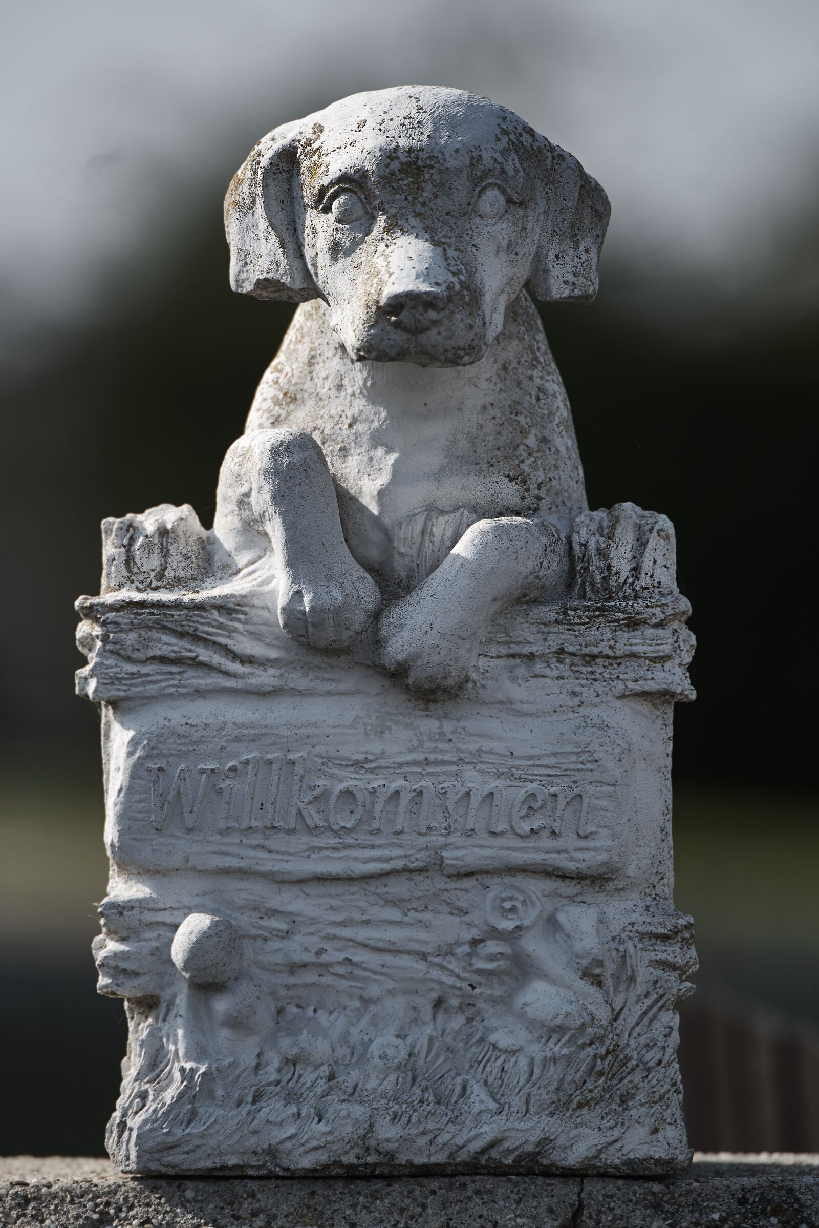 Pentax K-1 sample photo. Dog, garden, stone figure photography