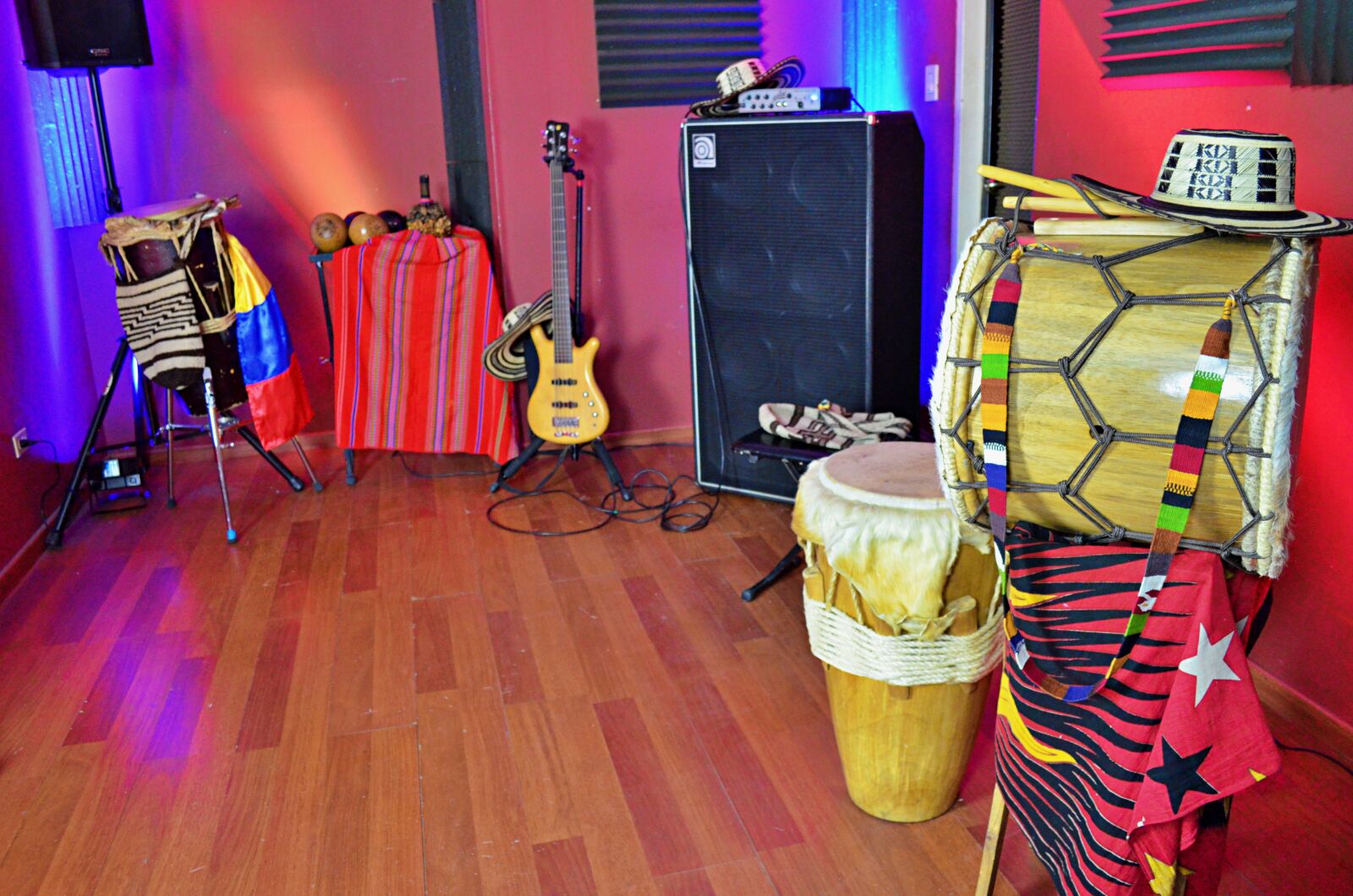 Nikon D5100 sample photo. Instruments, music, folklore photography