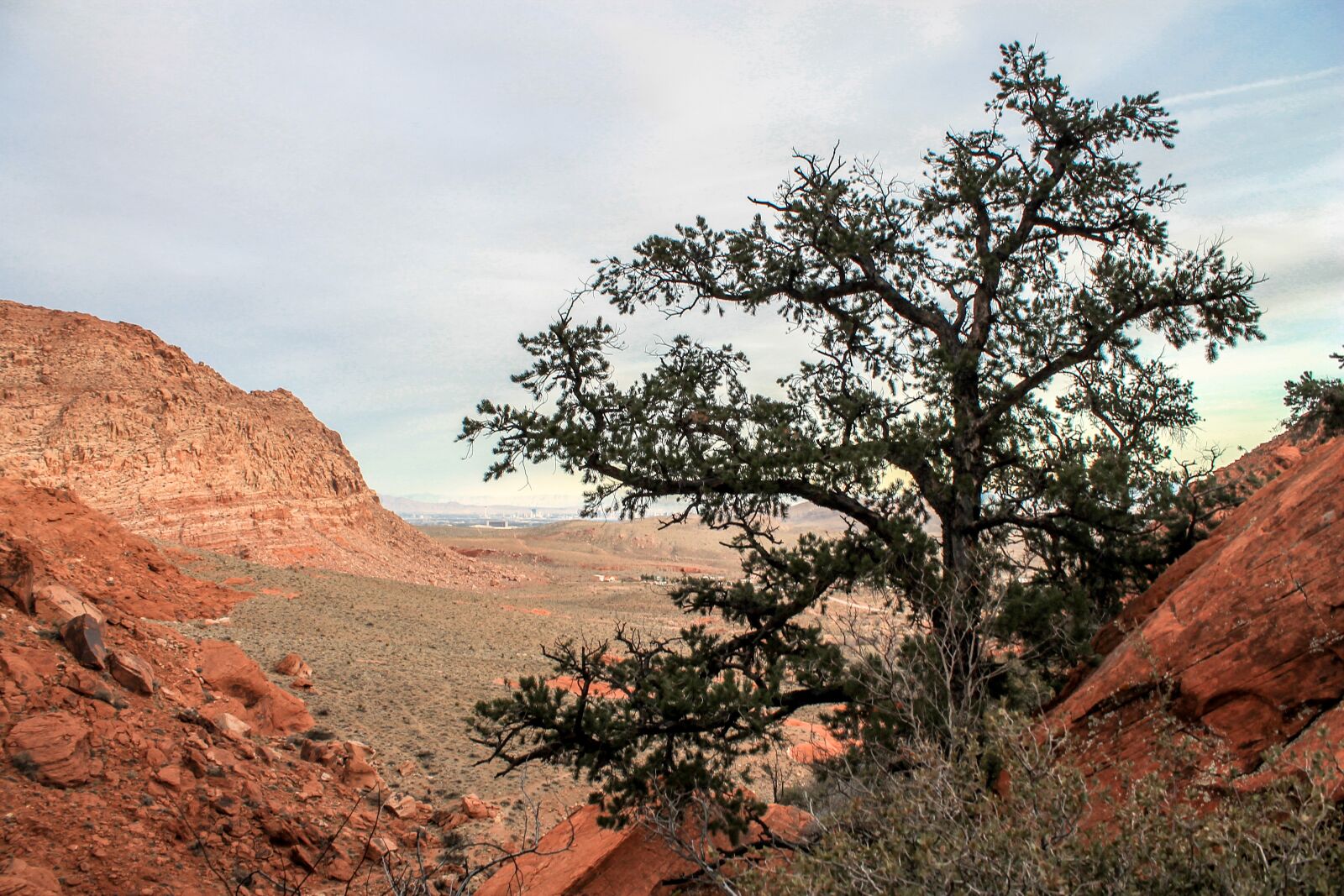Canon EOS 1100D (EOS Rebel T3 / EOS Kiss X50) sample photo. Utah, red rocks, red photography