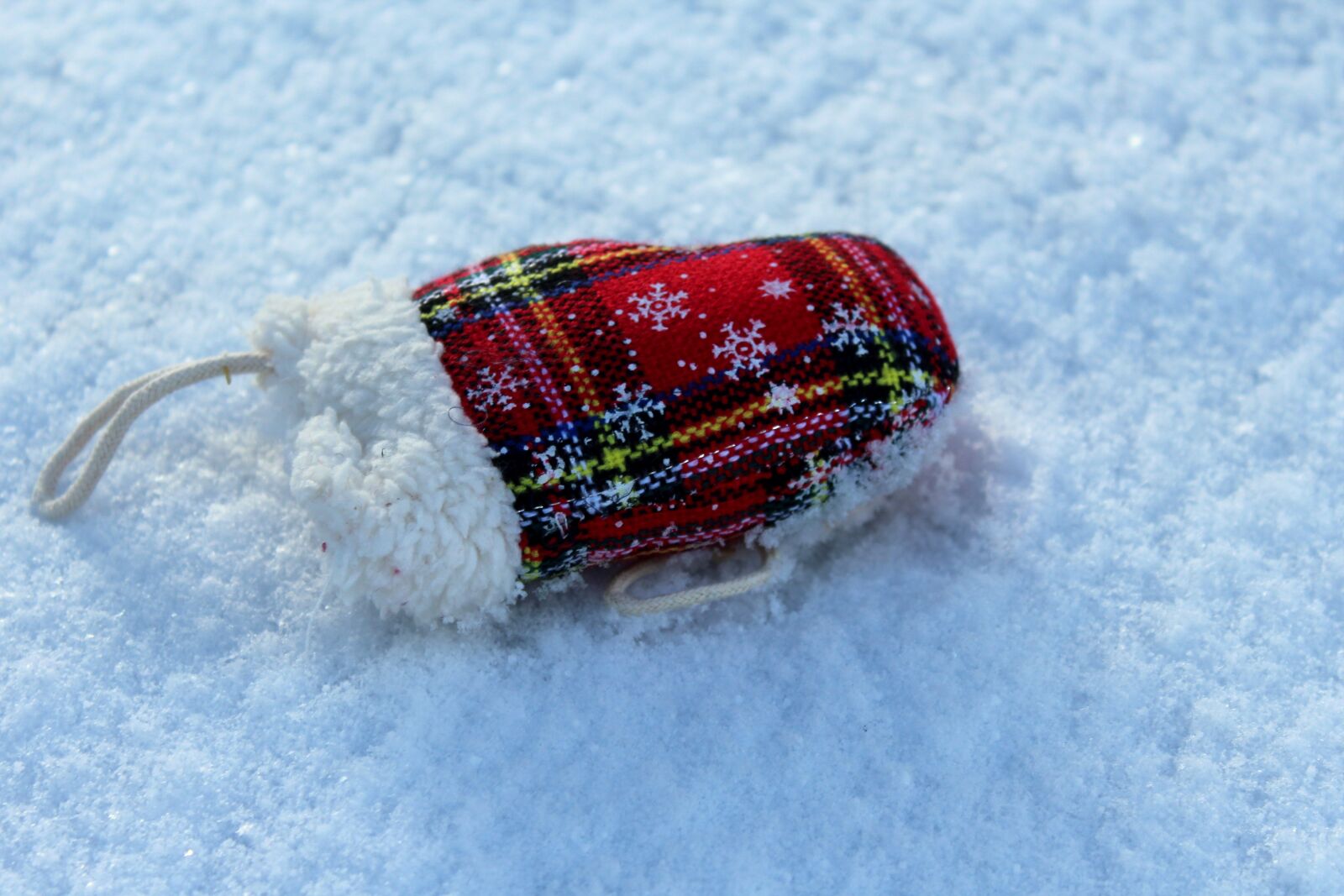 Canon EOS 1200D (EOS Rebel T5 / EOS Kiss X70 / EOS Hi) sample photo. Winter, glove, snow photography