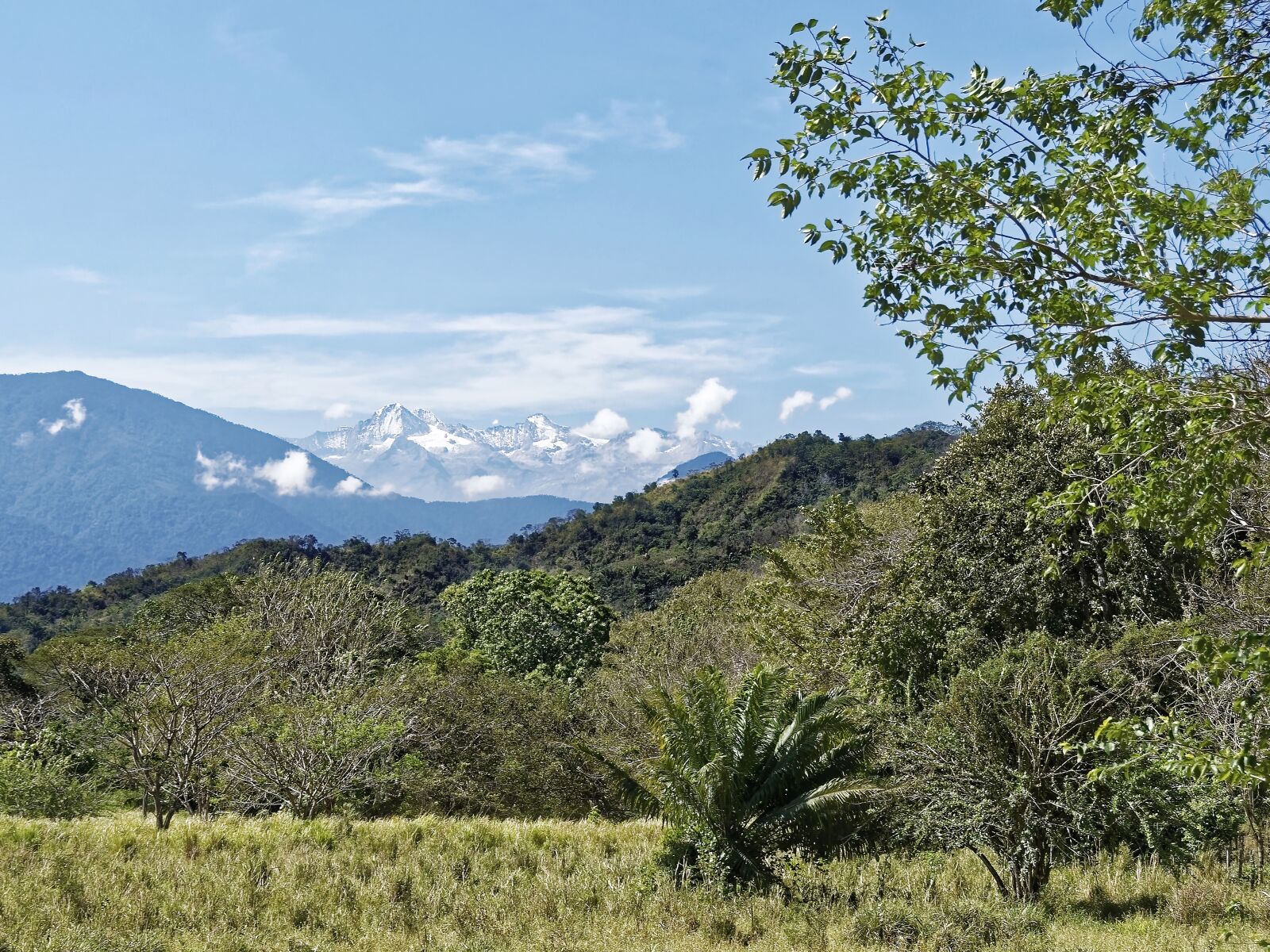 Nikon D500 sample photo. Colombia, cordillera, mountains photography