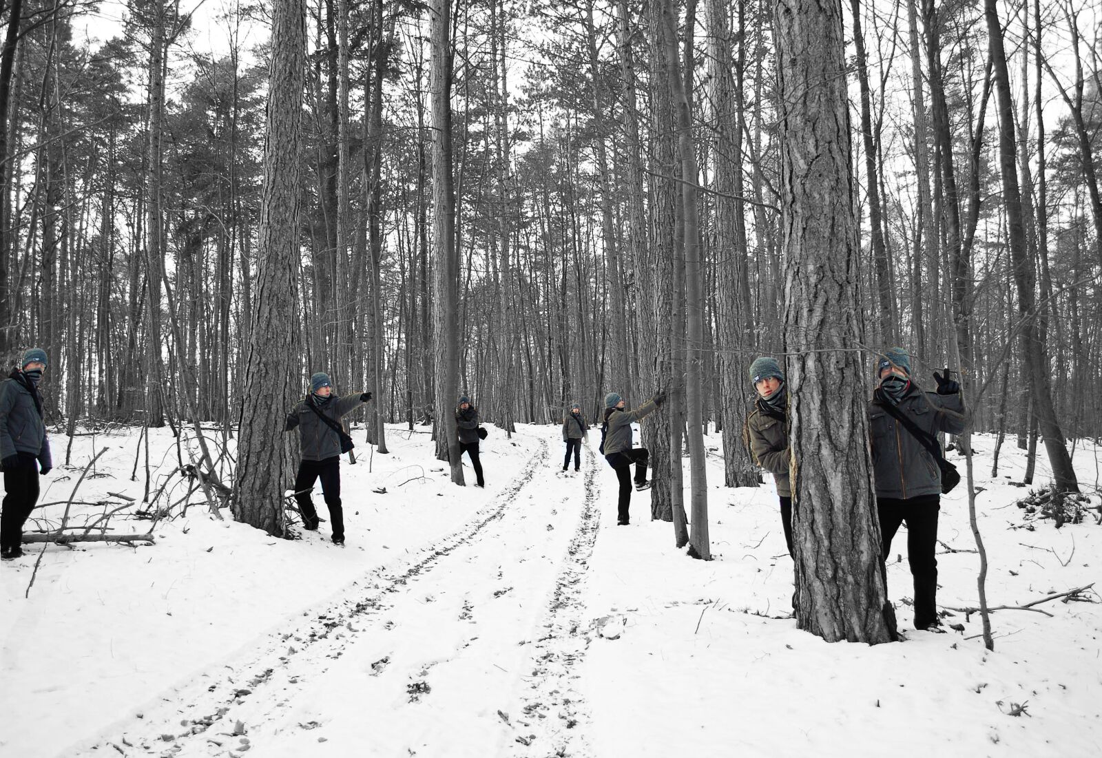 Nikon D80 sample photo. Clone, winter, forest photography