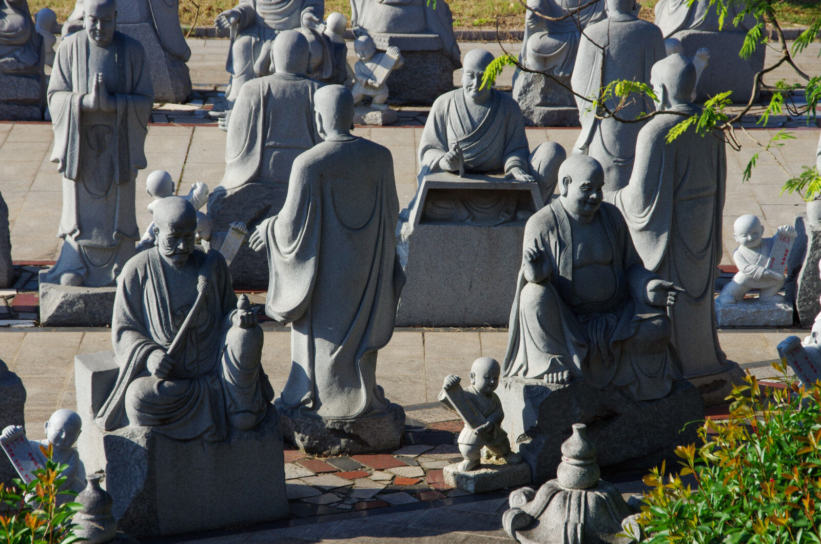 Pentax K-5 sample photo