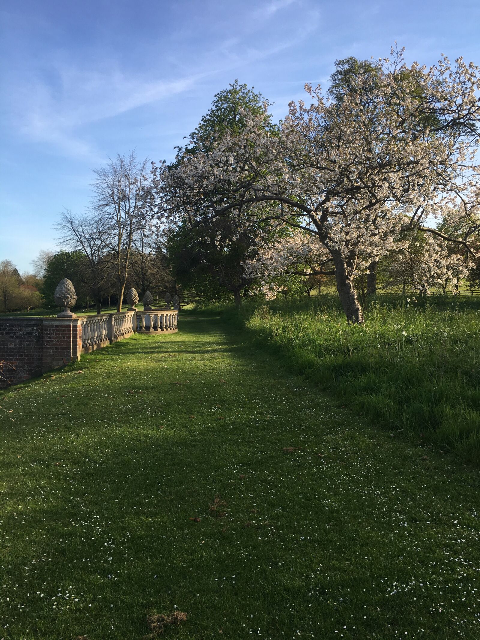 Apple iPhone 6s sample photo. English garden, blossom, spring photography