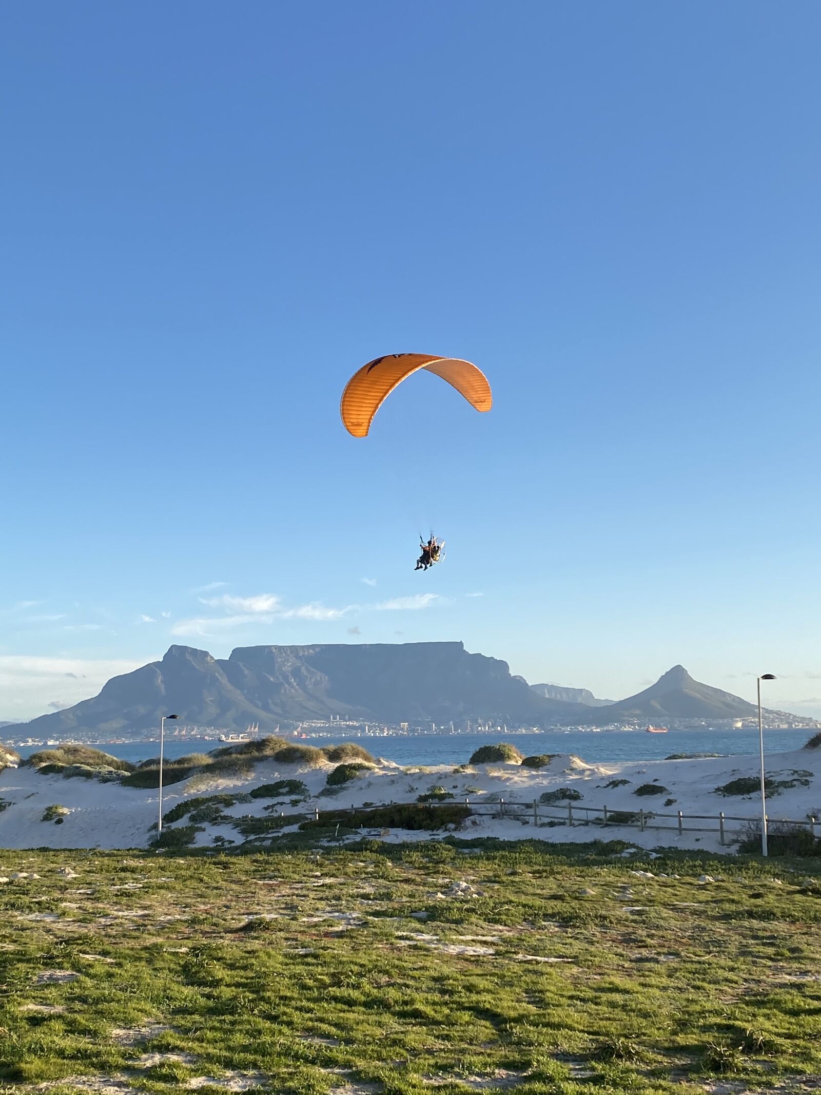 Apple iPhone 11 sample photo. Tandem, paragliding, capetown photography